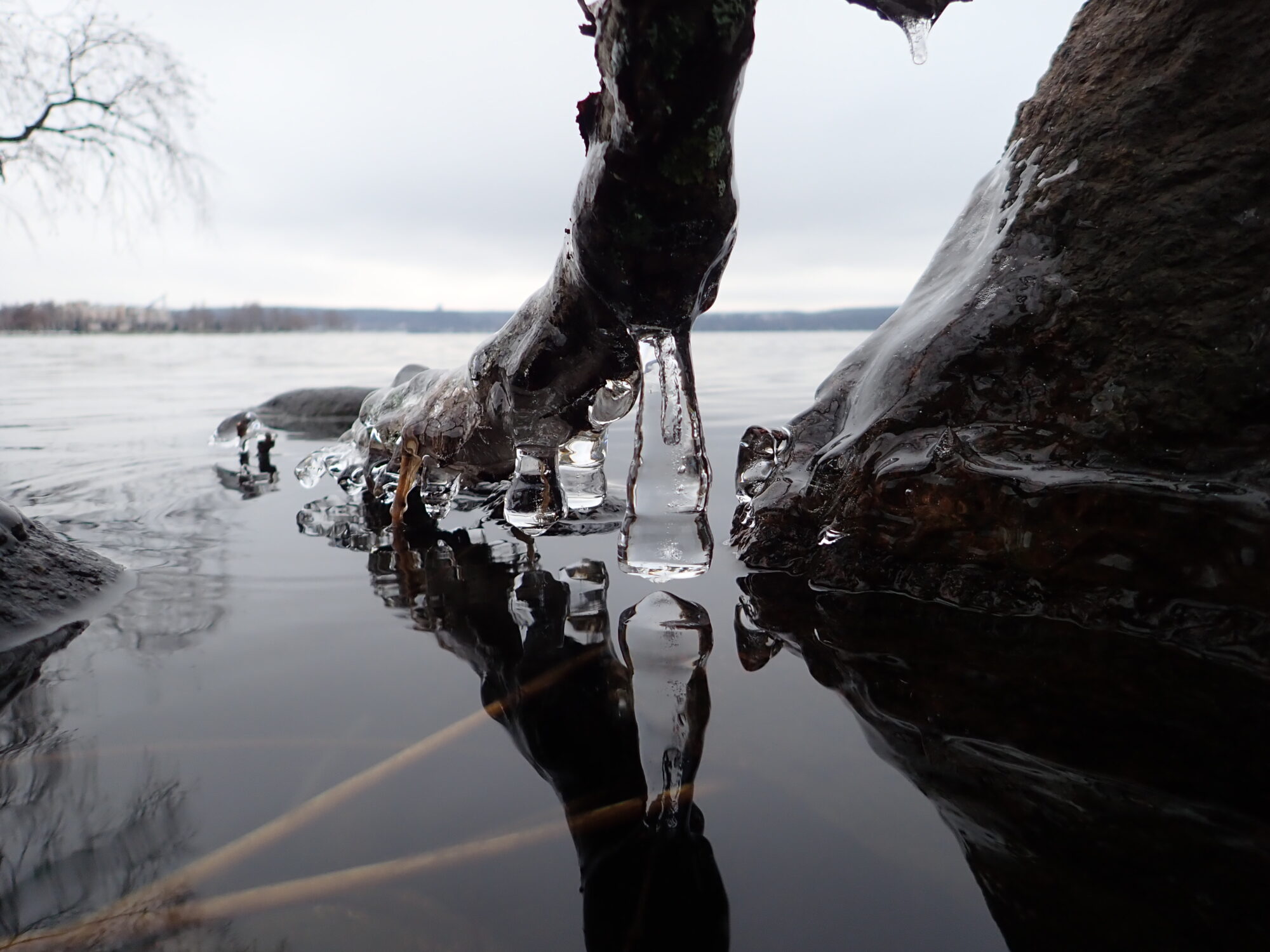 Valokuvaaja: Soili Vesanen