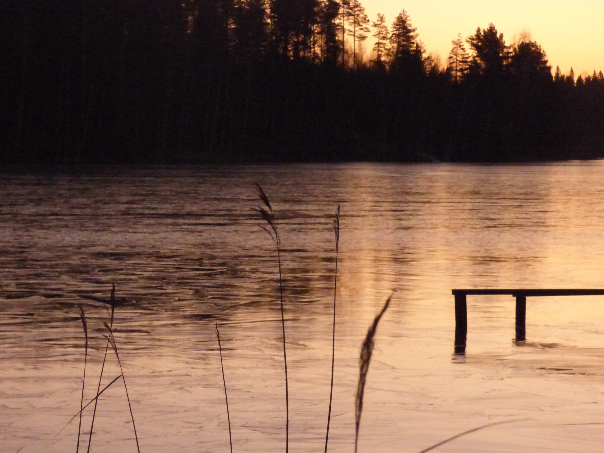 Valokuvaaja: Hannu Rissanen