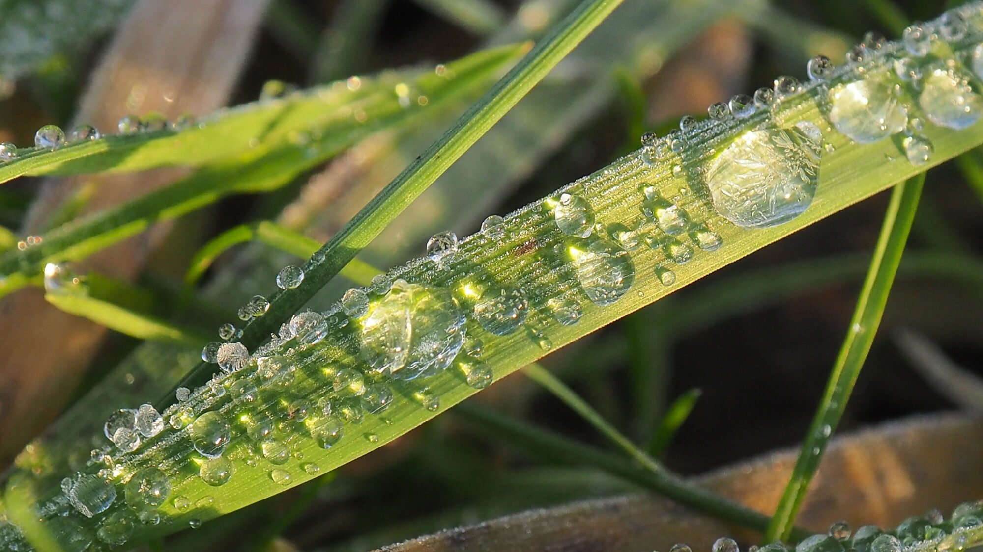 Valokuvaaja: Martti Valtonen Valokuvaaja: Martti Valtonen