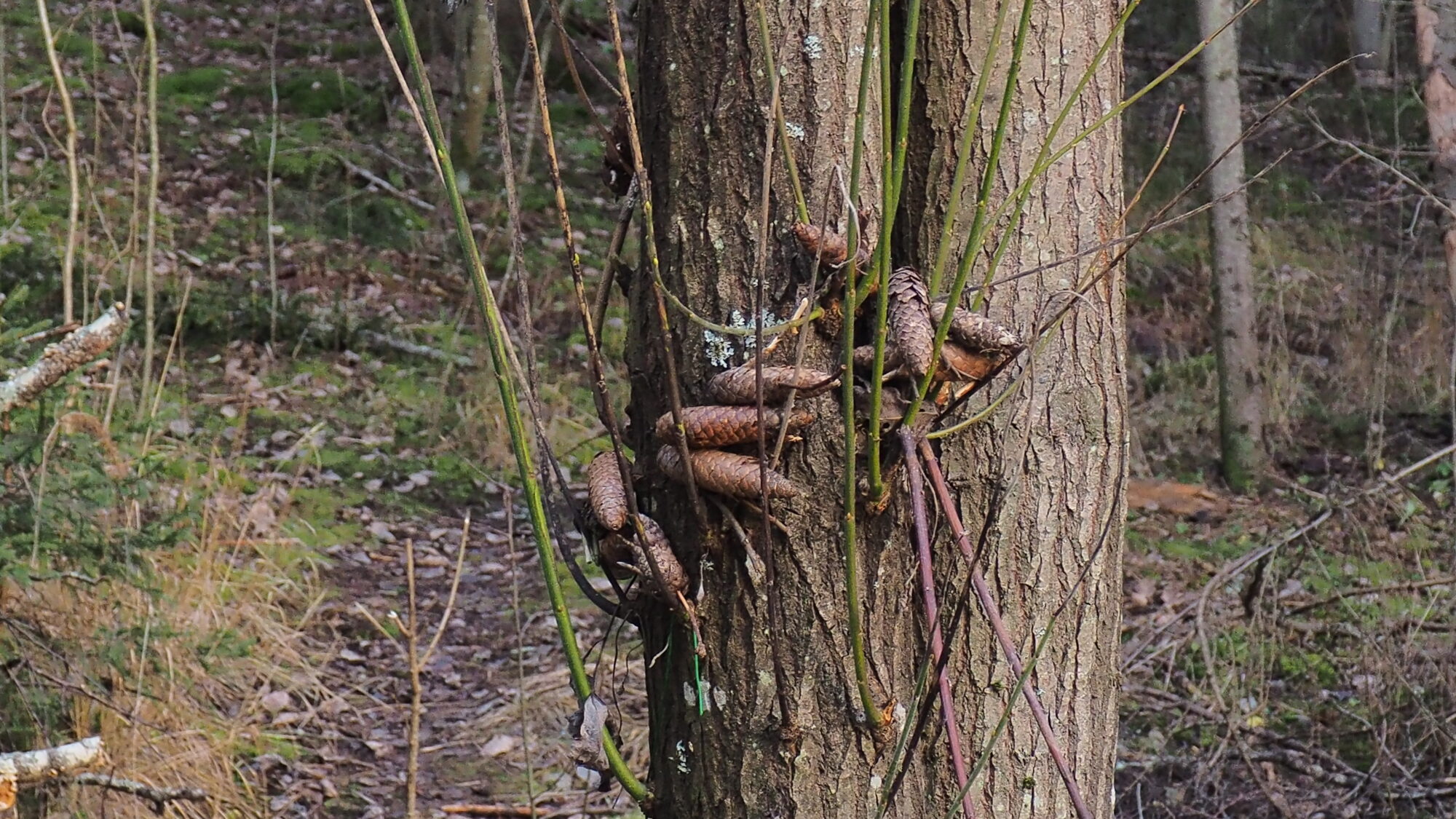 Valokuvaaja: Martti Valtonen