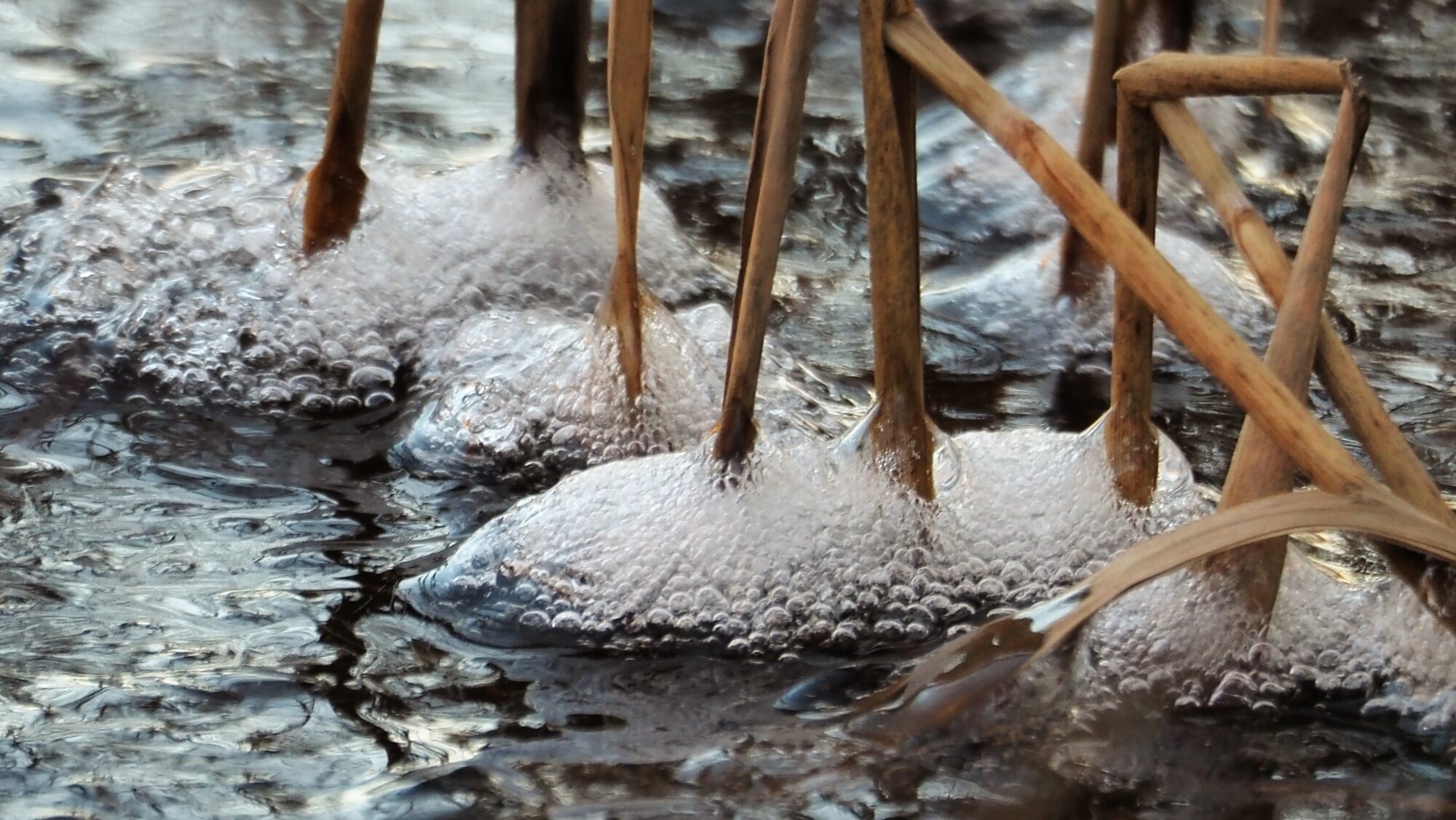 Valokuvaaja: ARJA VALTONEN