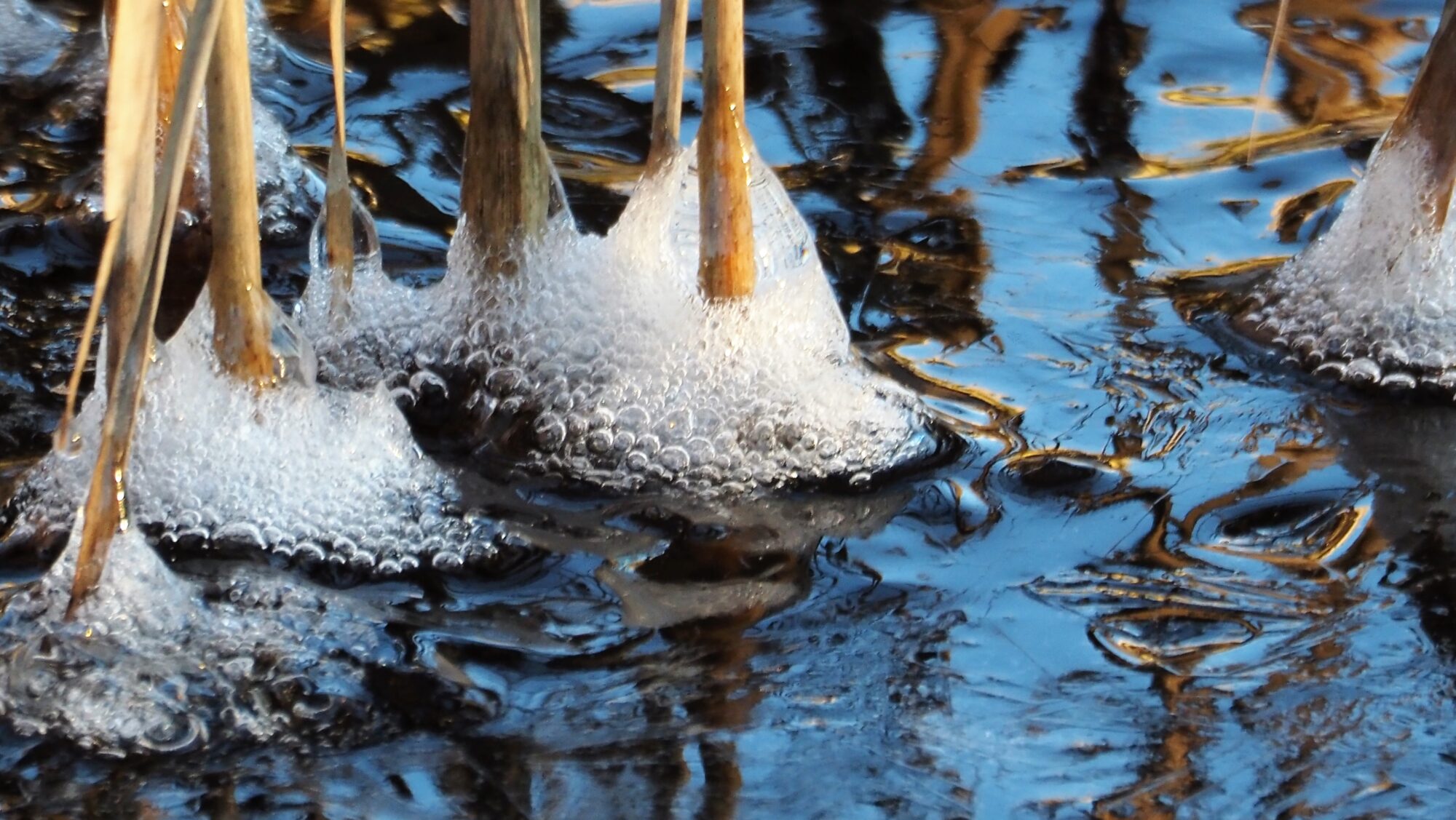 Valokuvaaja: Arja Valtonen