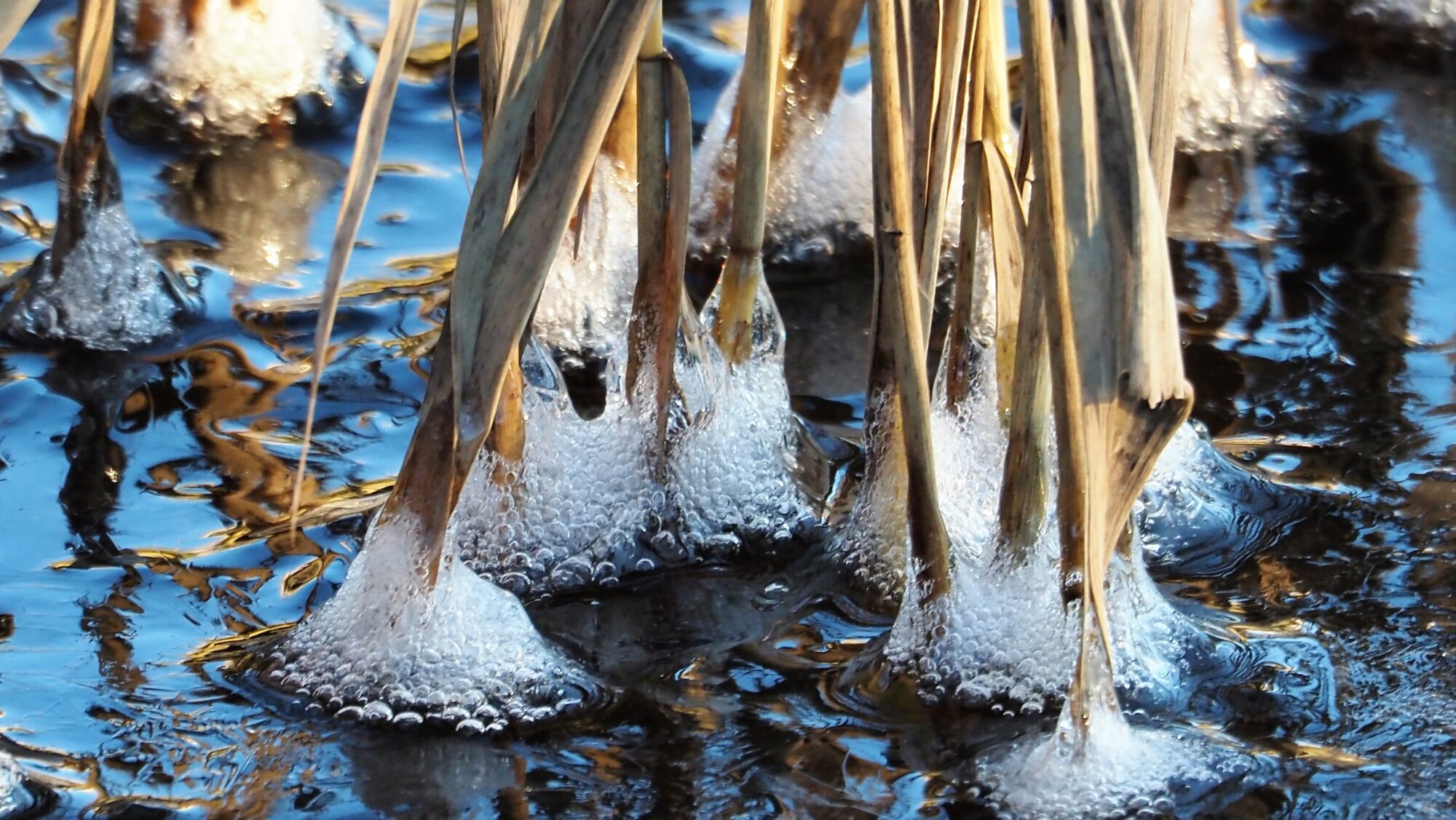 Valokuvaaja: Arja Valtonen