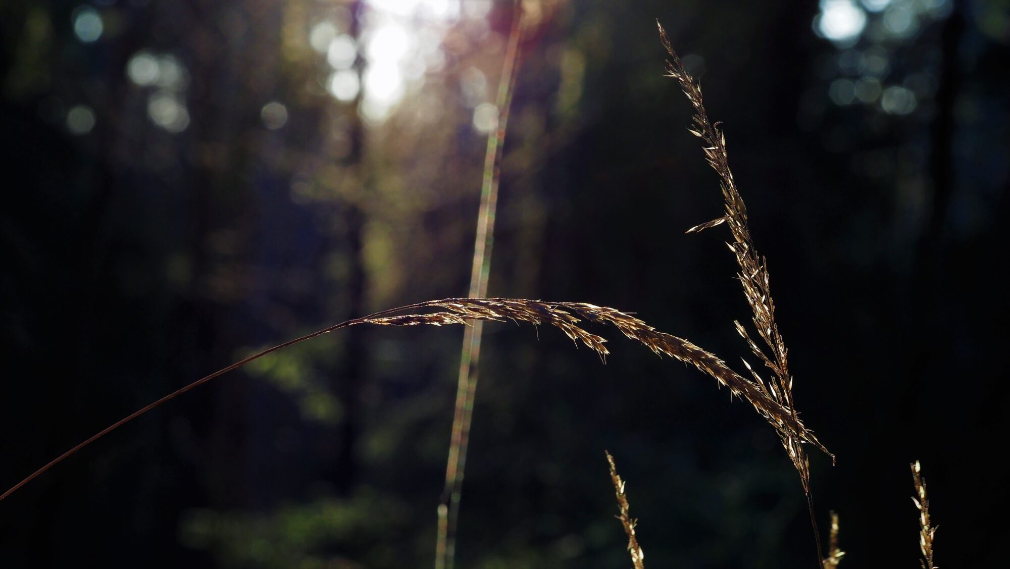 Valokuvaaja: Arja Valtonen