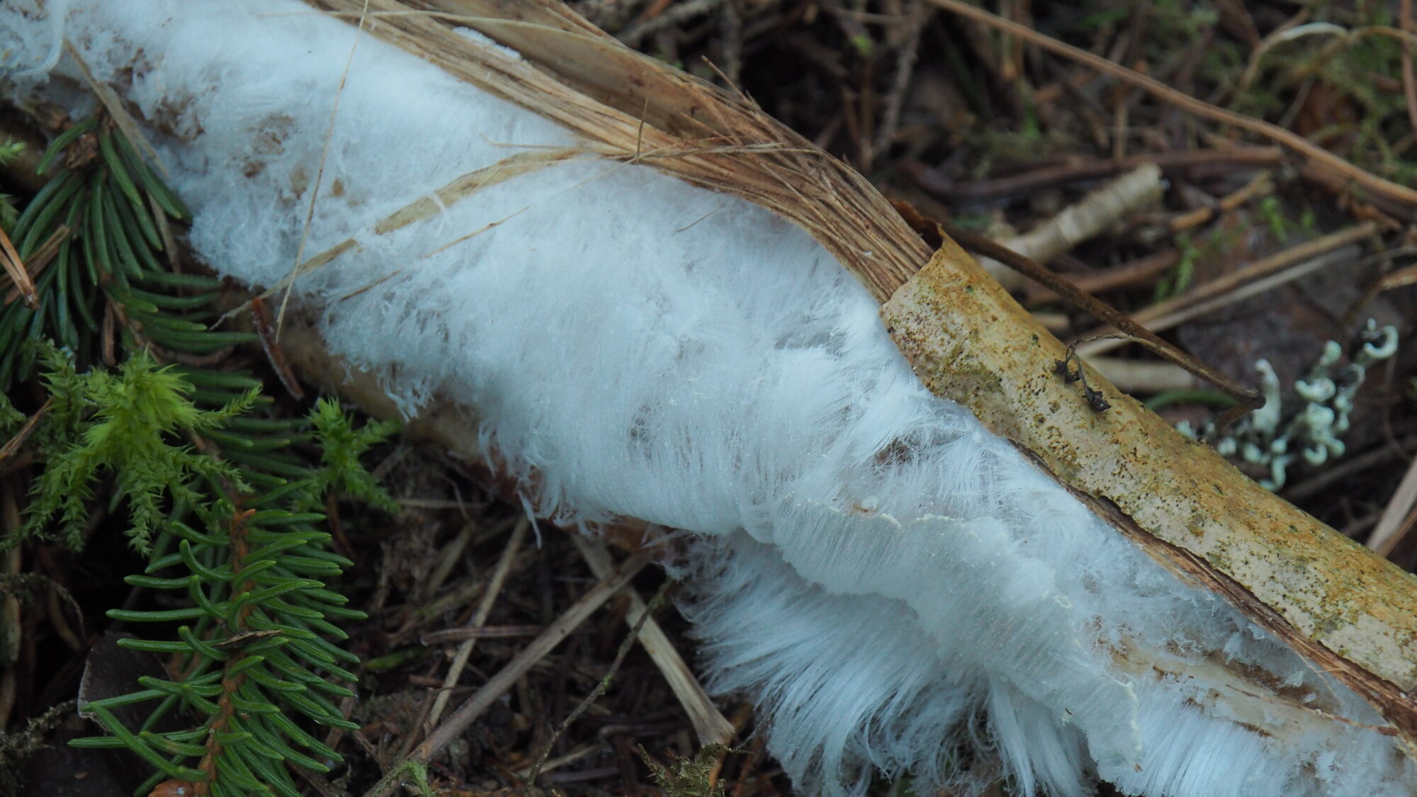 Valokuvaaja: Martti Valtonen