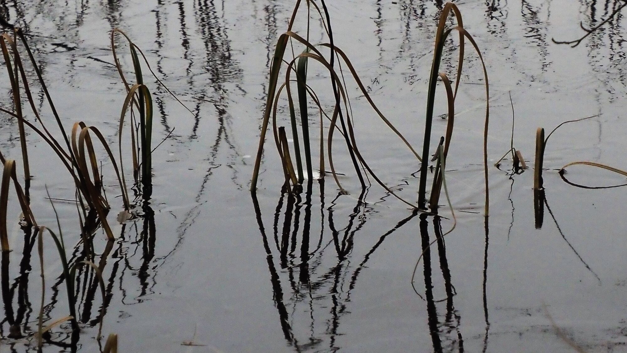 Valokuvaaja: ARJA VALTONEN