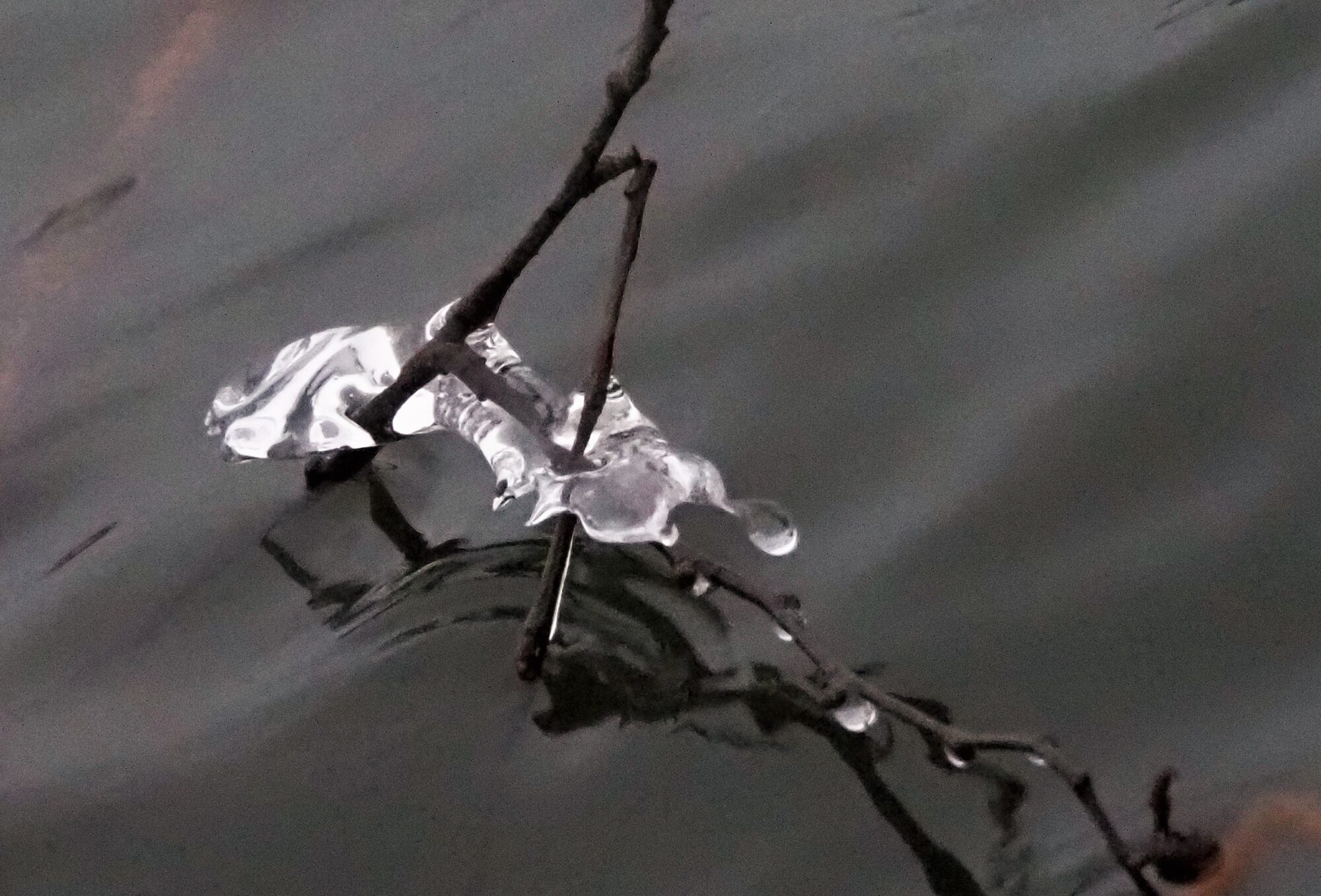 Valokuvaaja: Arja Valtonen