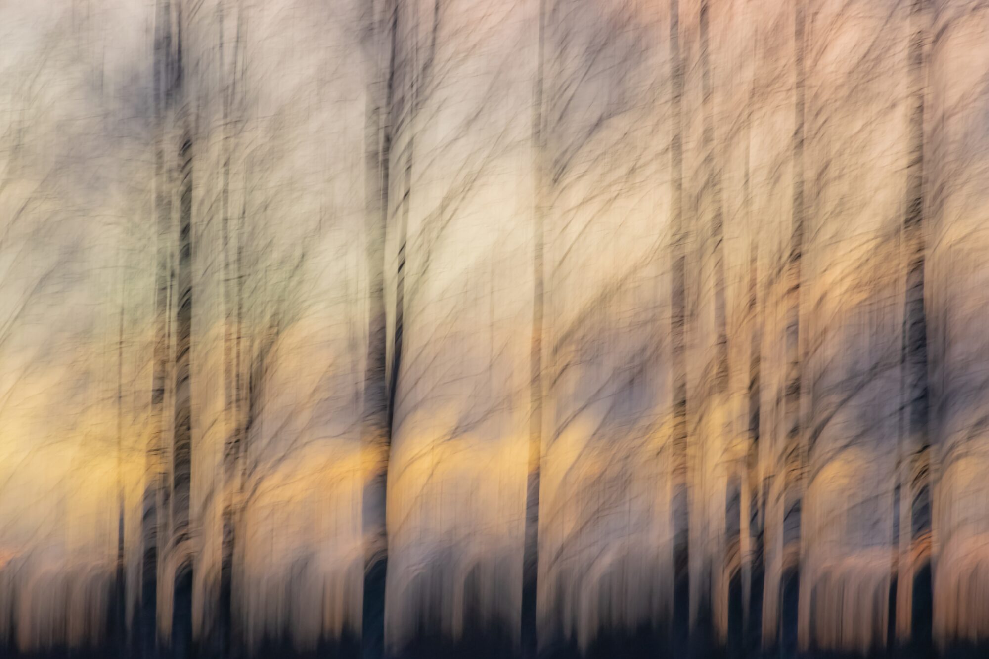 Valokuvaaja: Leena Rissanen