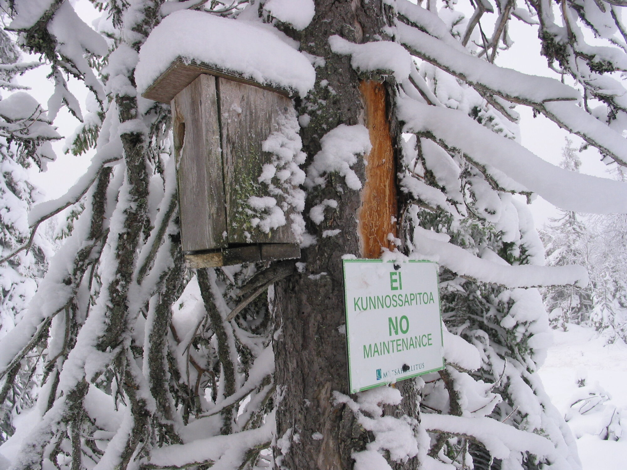 Valokuvaaja: Toivo Kiminki
