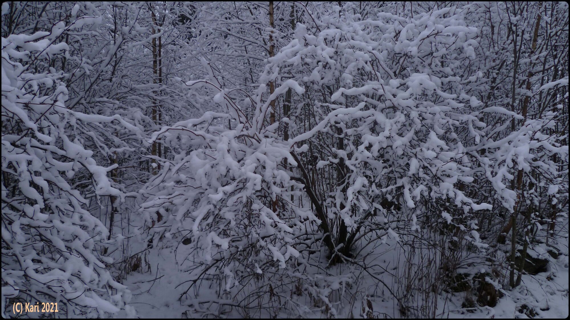 Valokuvaaja: Kari Saarinen