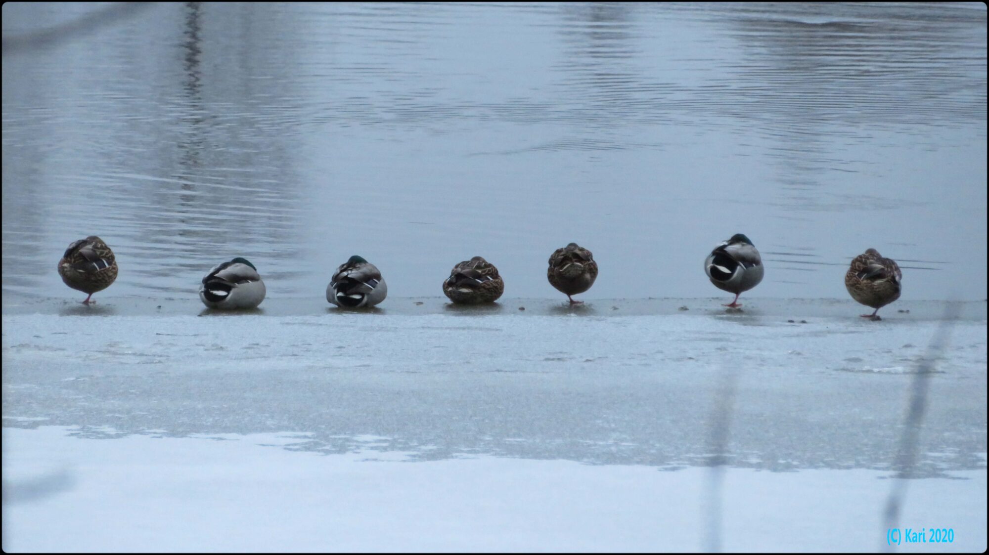 Valokuvaaja: Kari Saarinen
