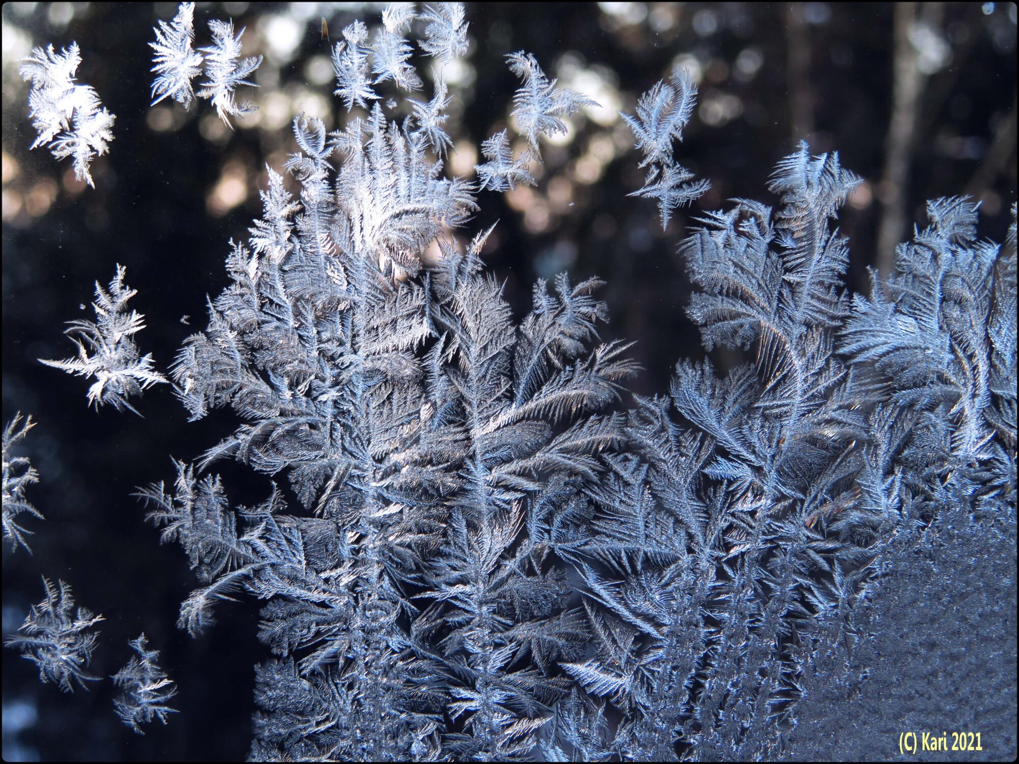 Valokuvaaja: Kari Saarinen