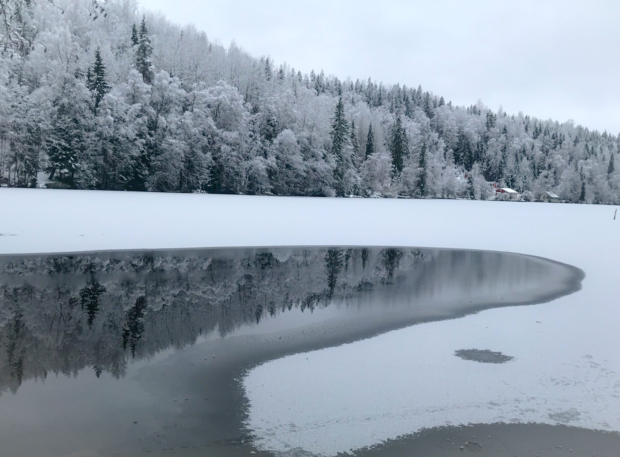 Valokuvaaja: Anne Patana