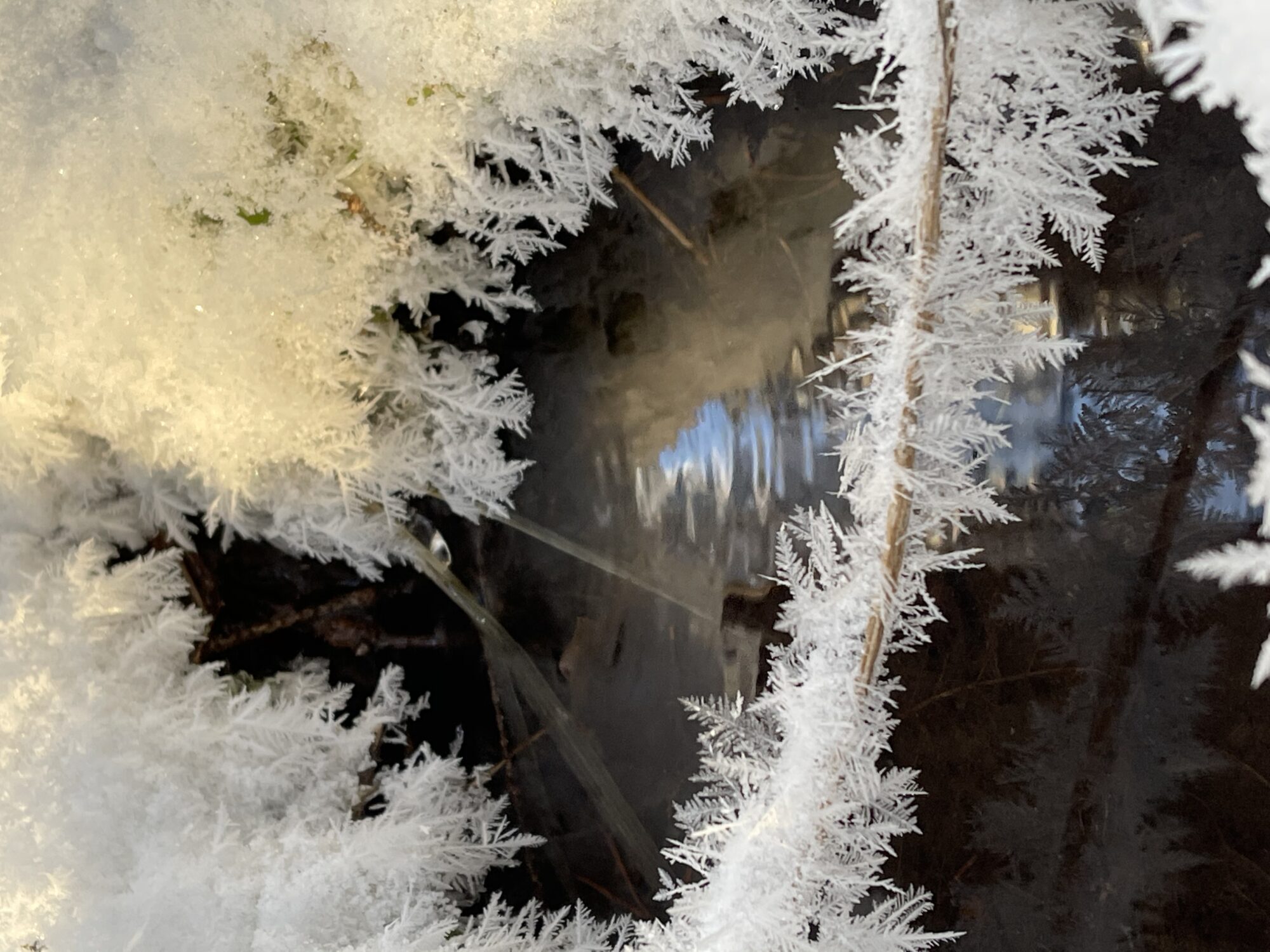 Valokuvaaja: Jaana Luukkanen