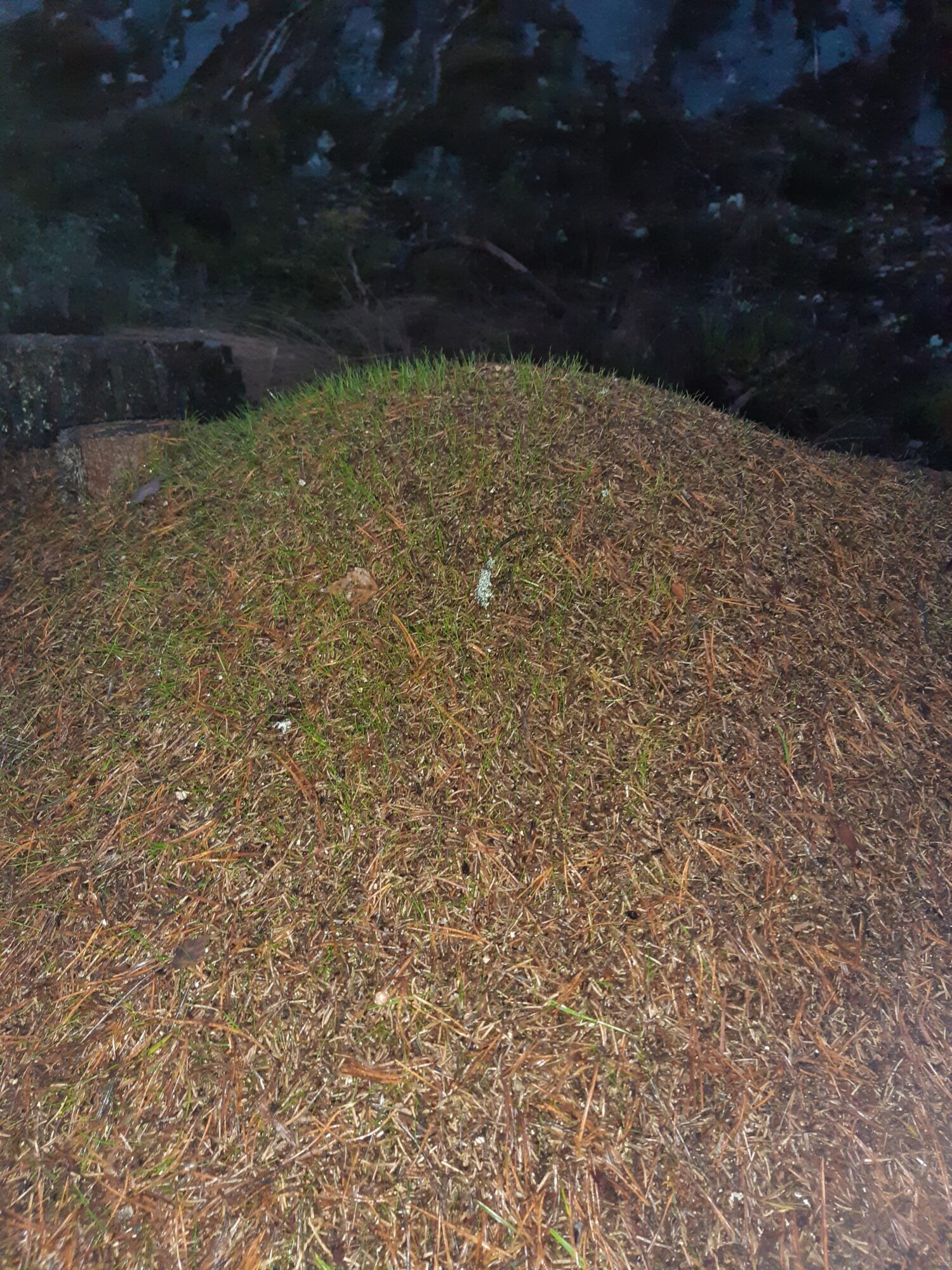 Valokuvaaja: Katja Kinnunen