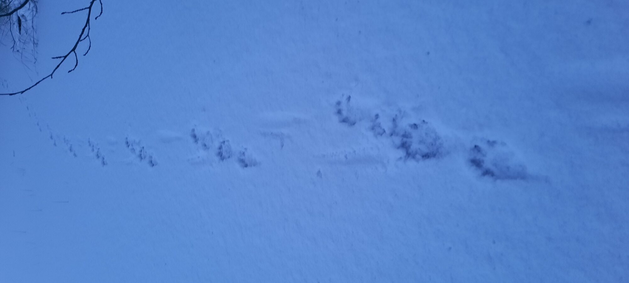 Valokuvaaja: Raisa Vesa