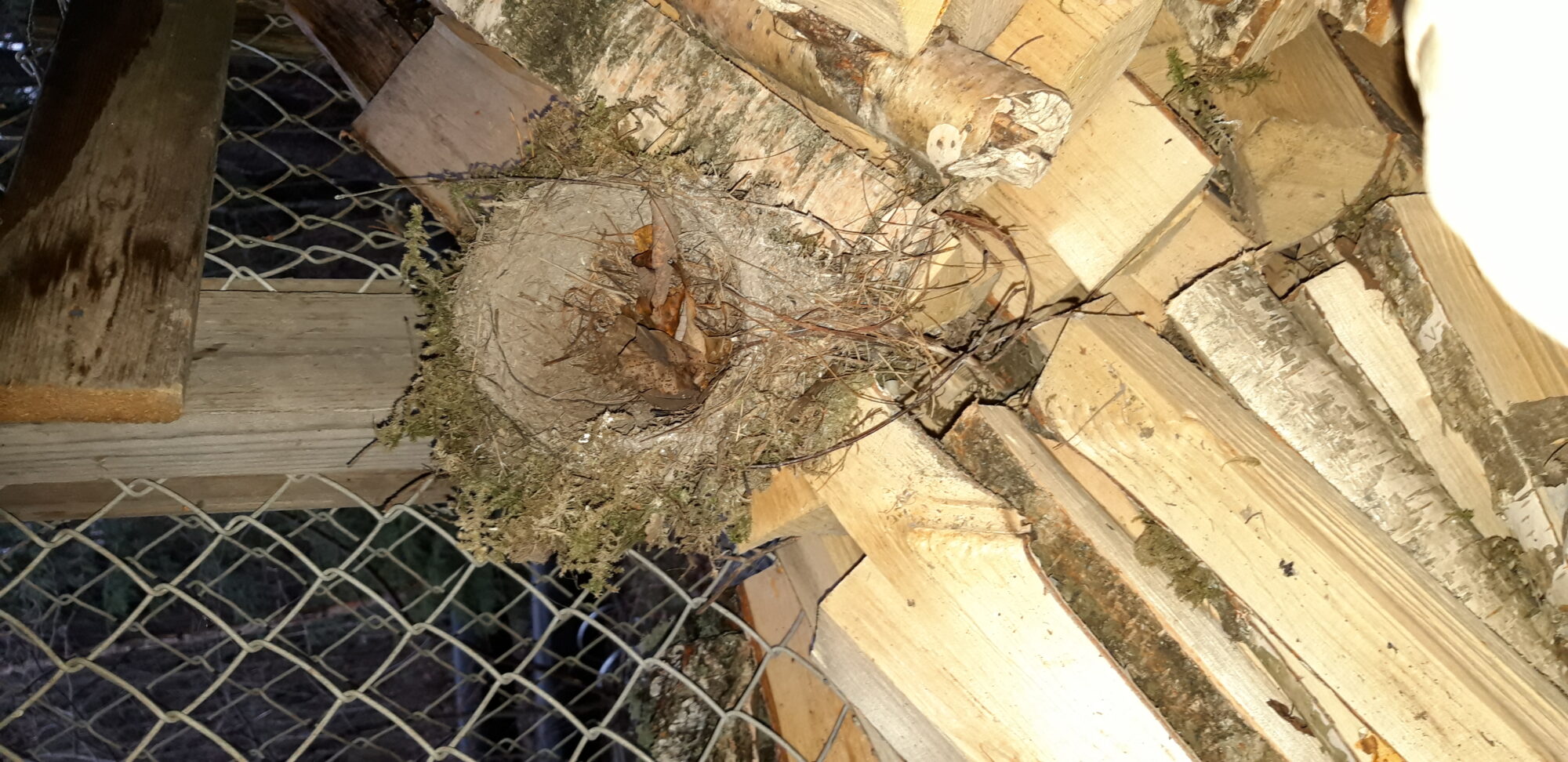 Valokuvaaja: Mirja Saarela