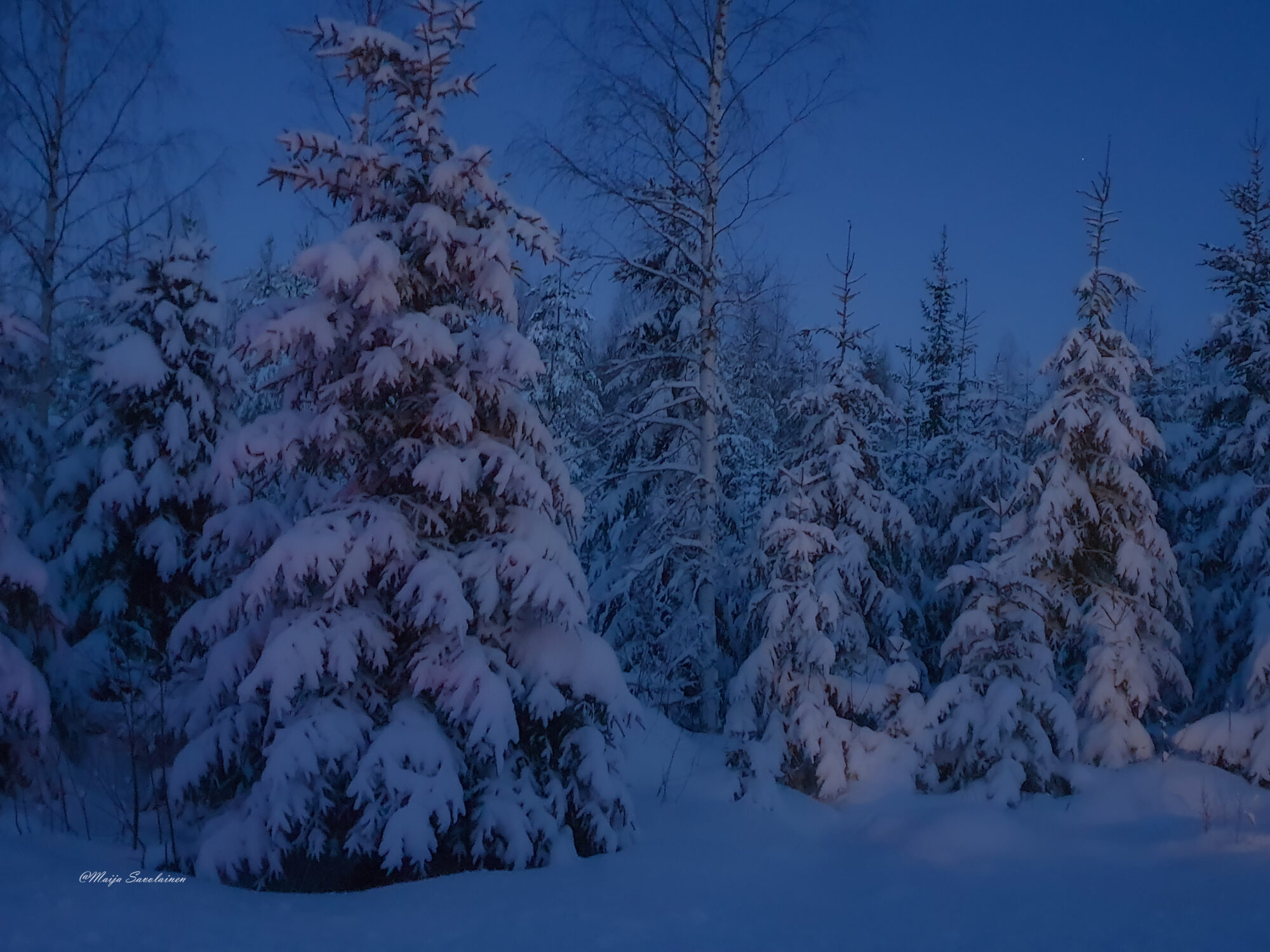 Valokuvaaja: Maija Savolainen