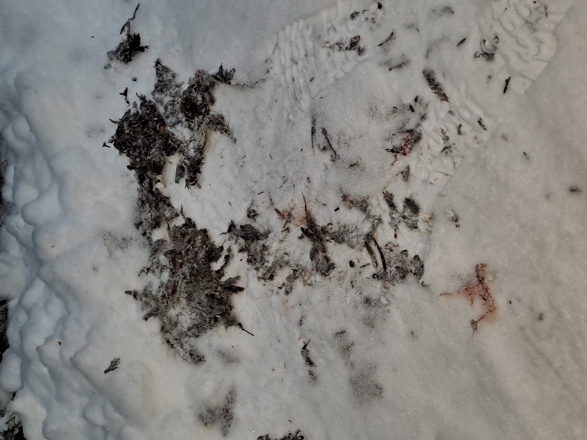 Valokuvaaja: Hannu Rissanen