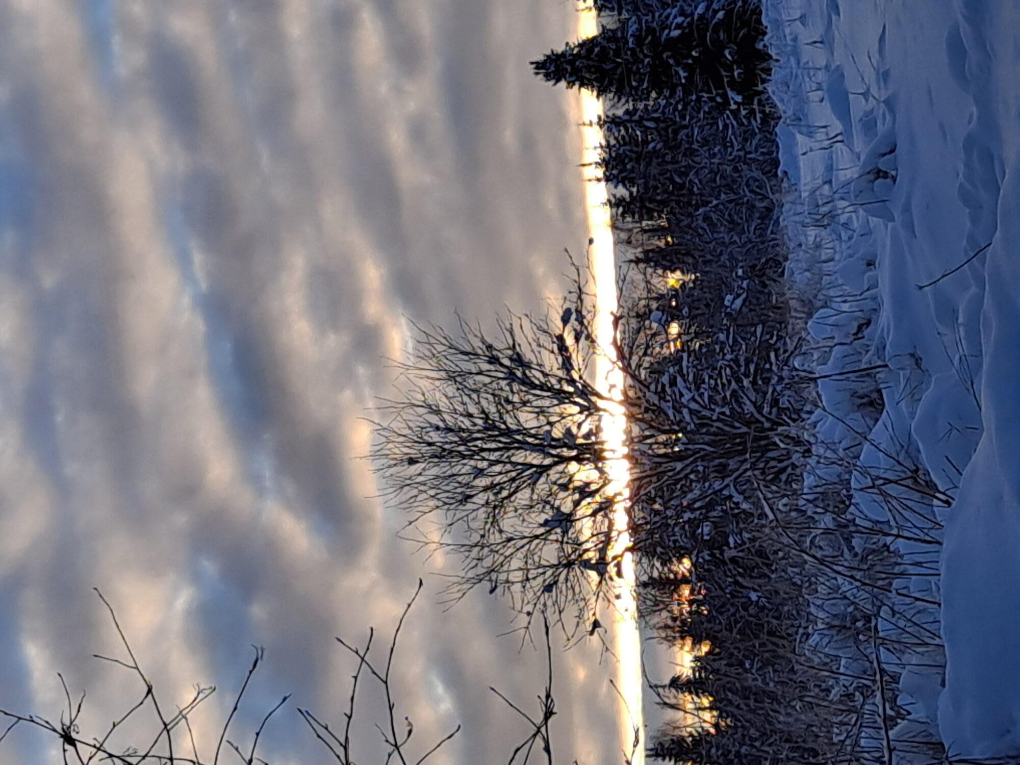 Valokuvaaja: Hannu Rissanen