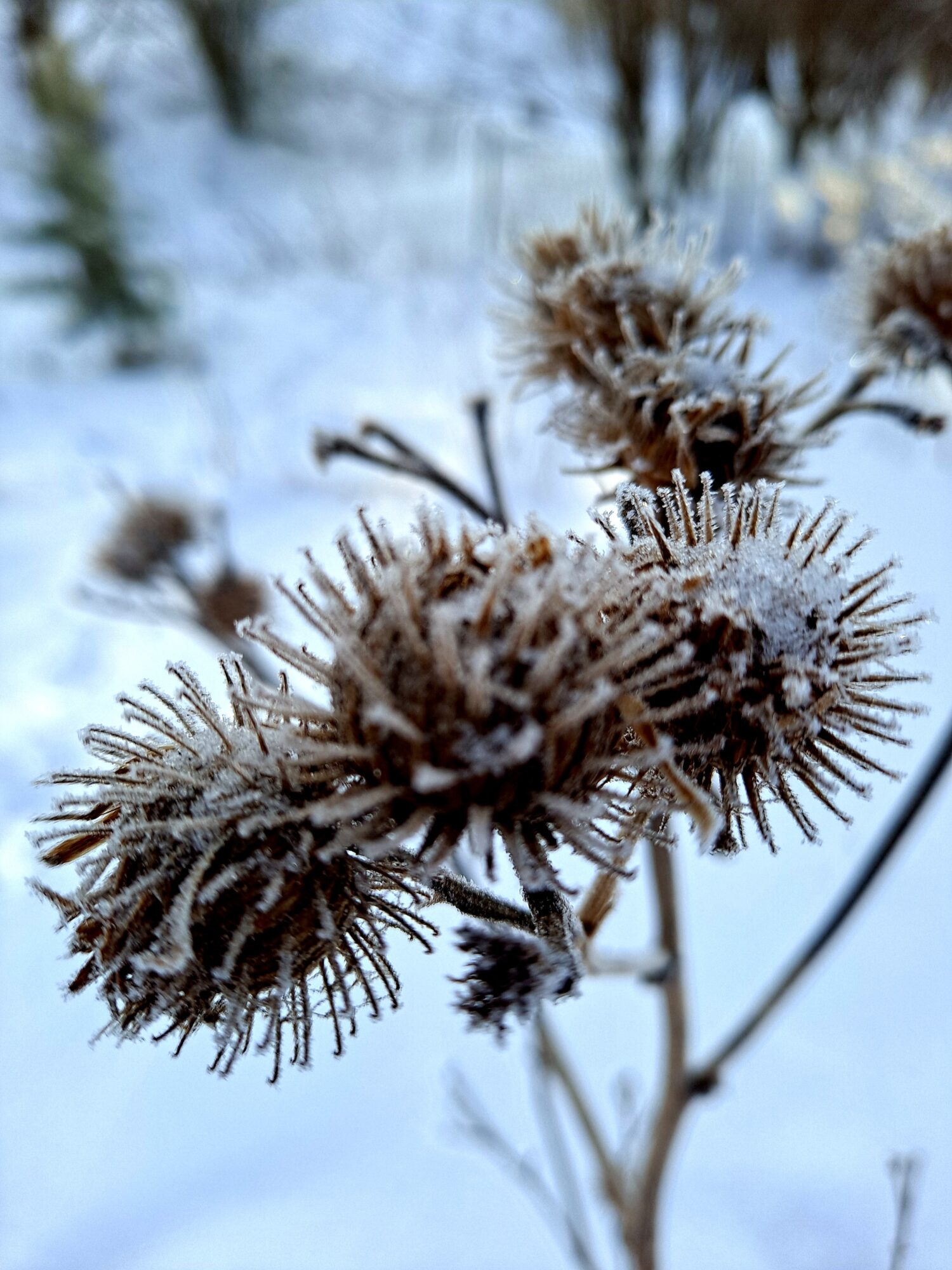 Valokuvaaja: Raisa Vuokola
