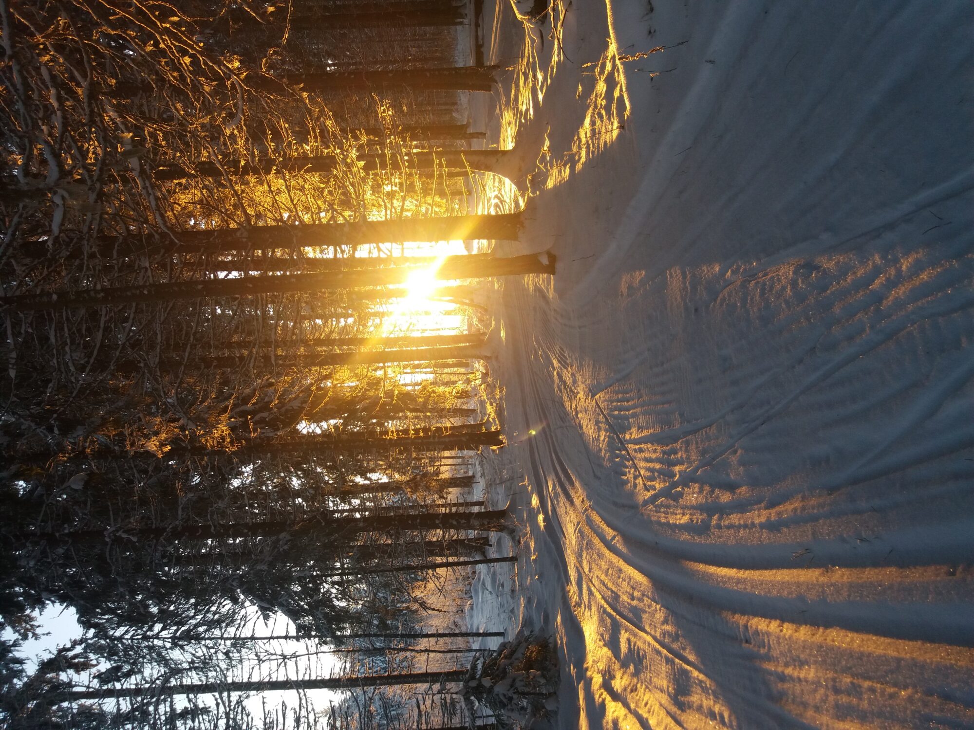 Valokuvaaja: Venla Pohjoisvirta Valokuvaaja: Venla Pohjoisvirta