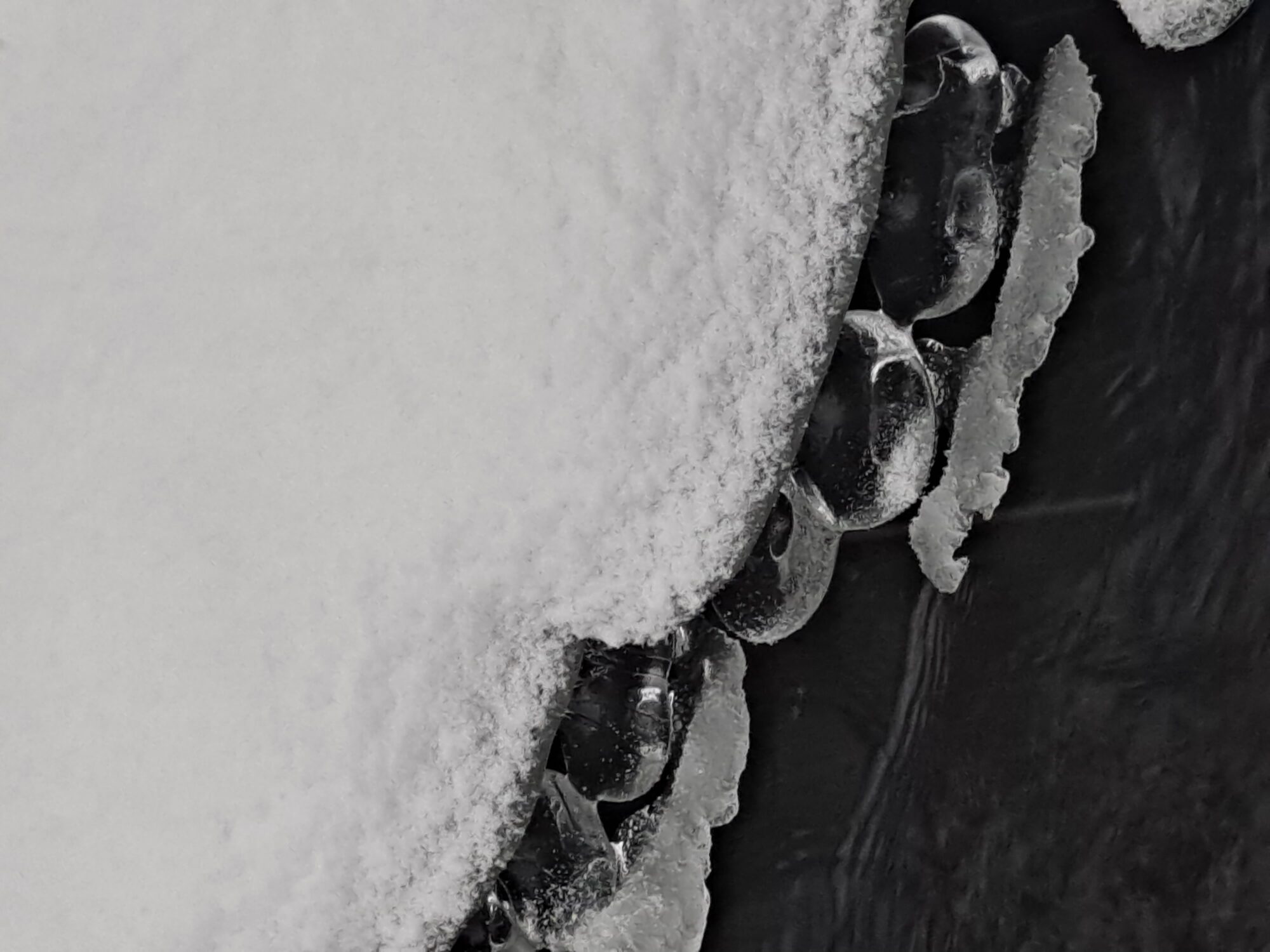 Valokuvaaja: Raisa Vuokola