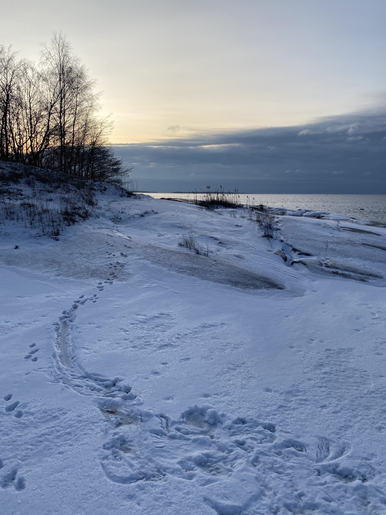 Valokuvaaja: Susanna Hellén