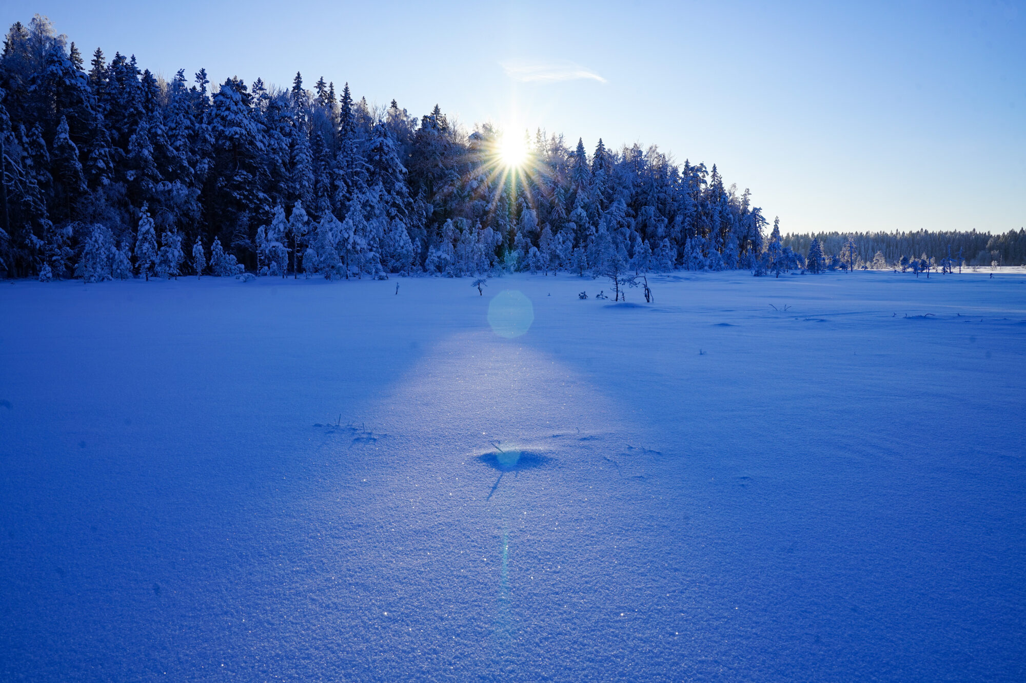 Valokuvaaja: Lea Antola