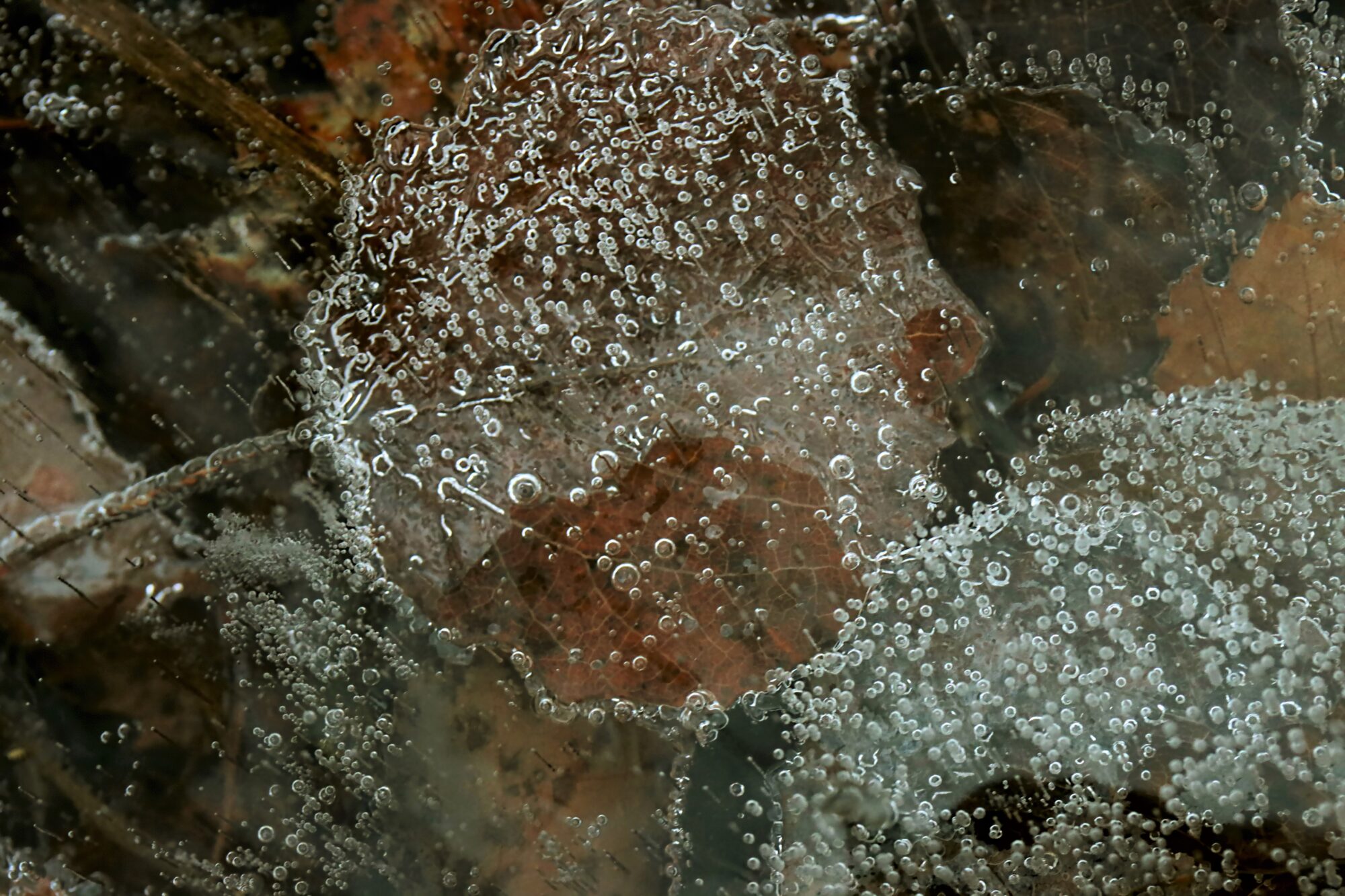 Valokuvaaja: Ritva Nieminen