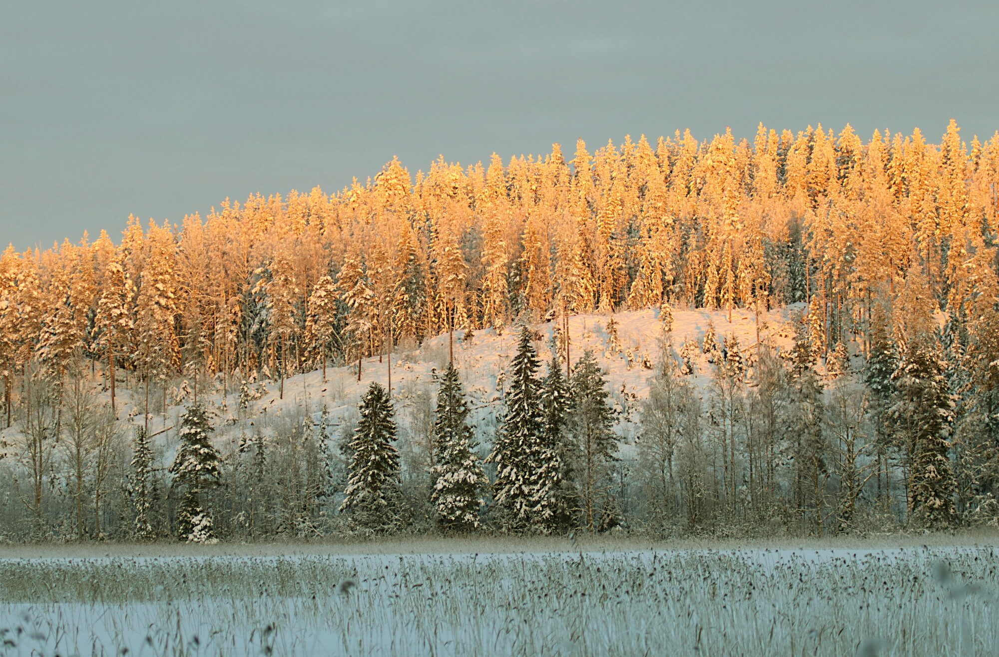 Valokuvaaja: Ritva Nieminen