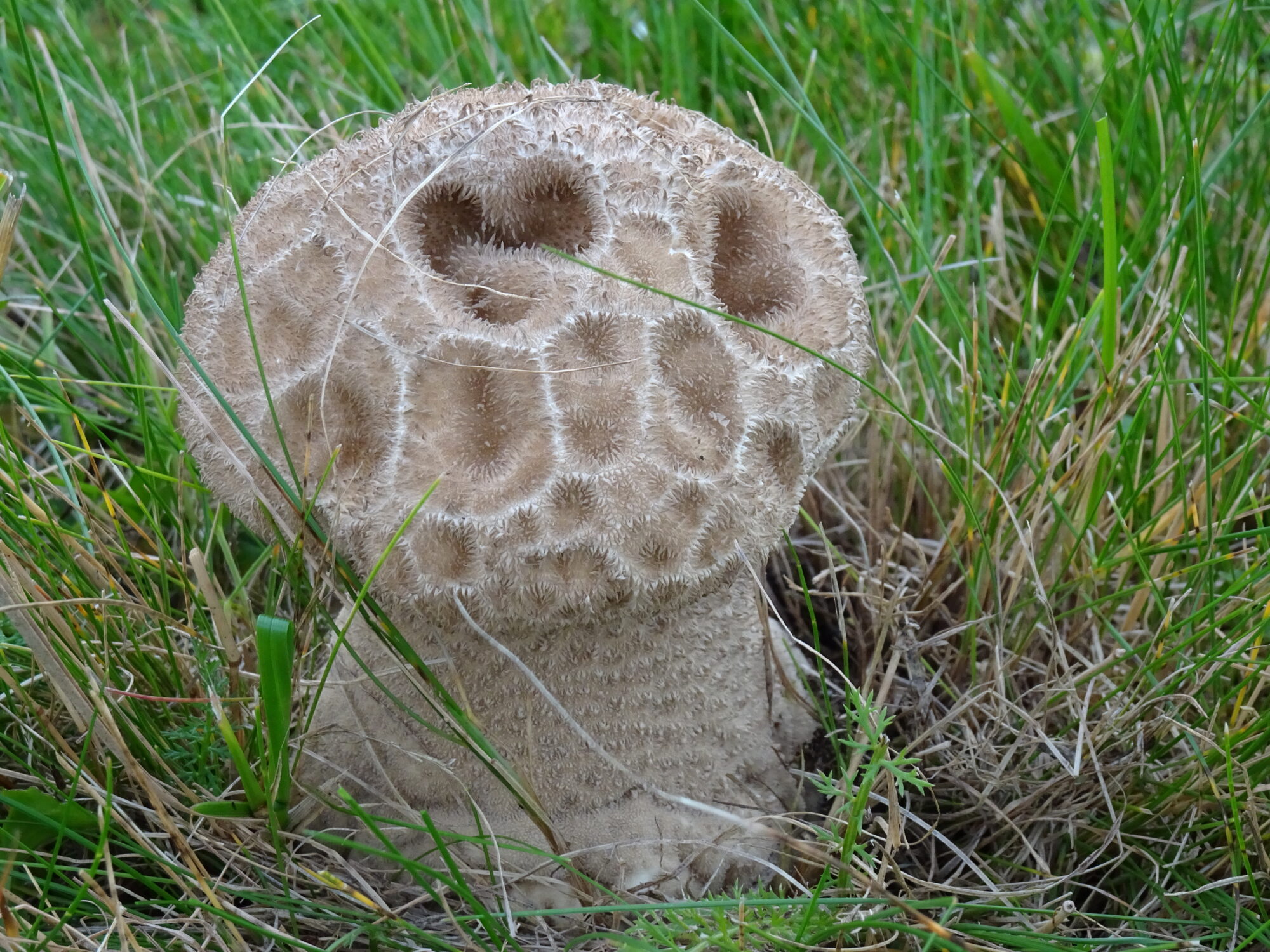 Valokuvaaja: Pekka Ekberg