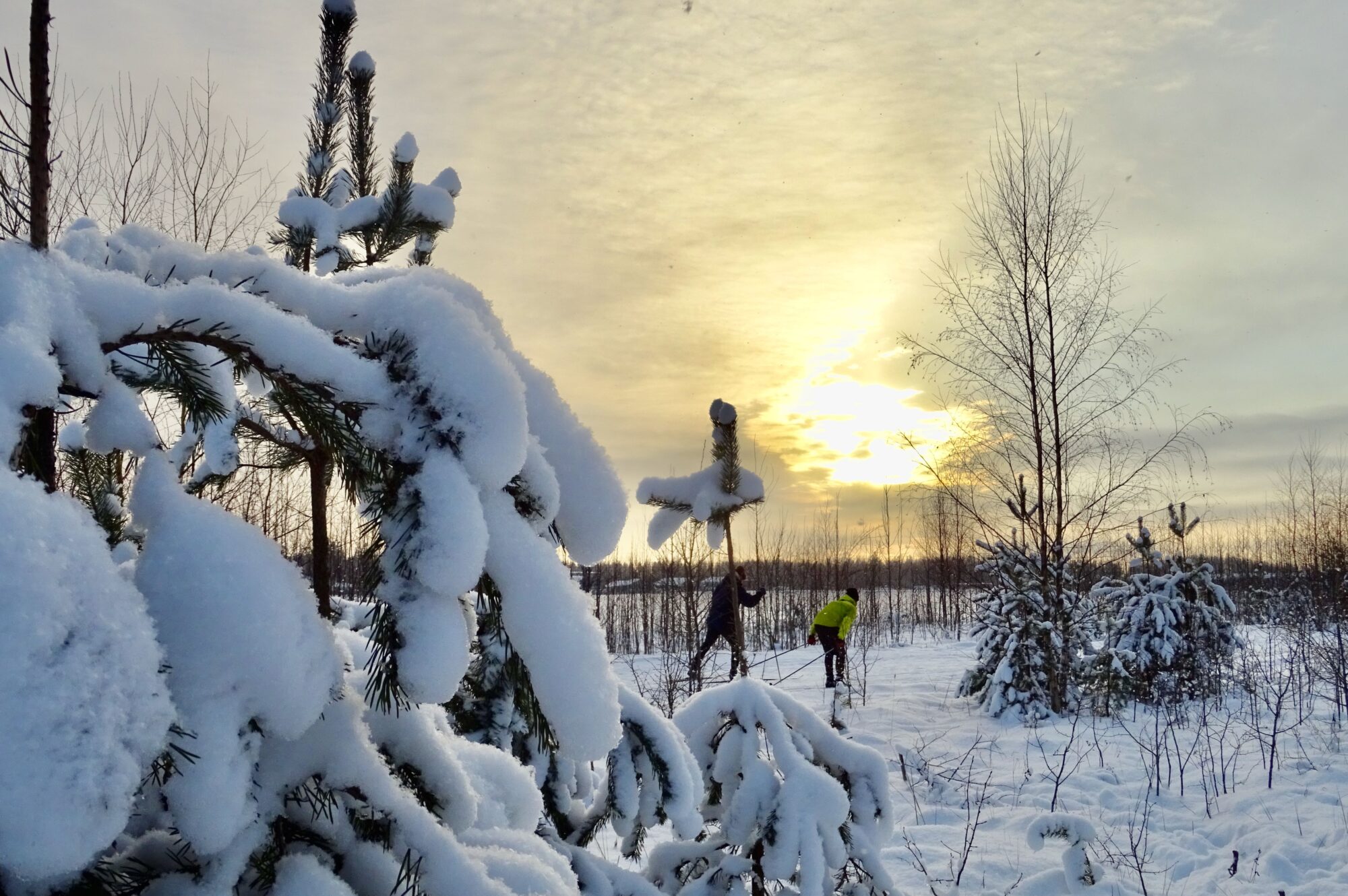 Valokuvaaja: Liisa Niiva-Korpela
