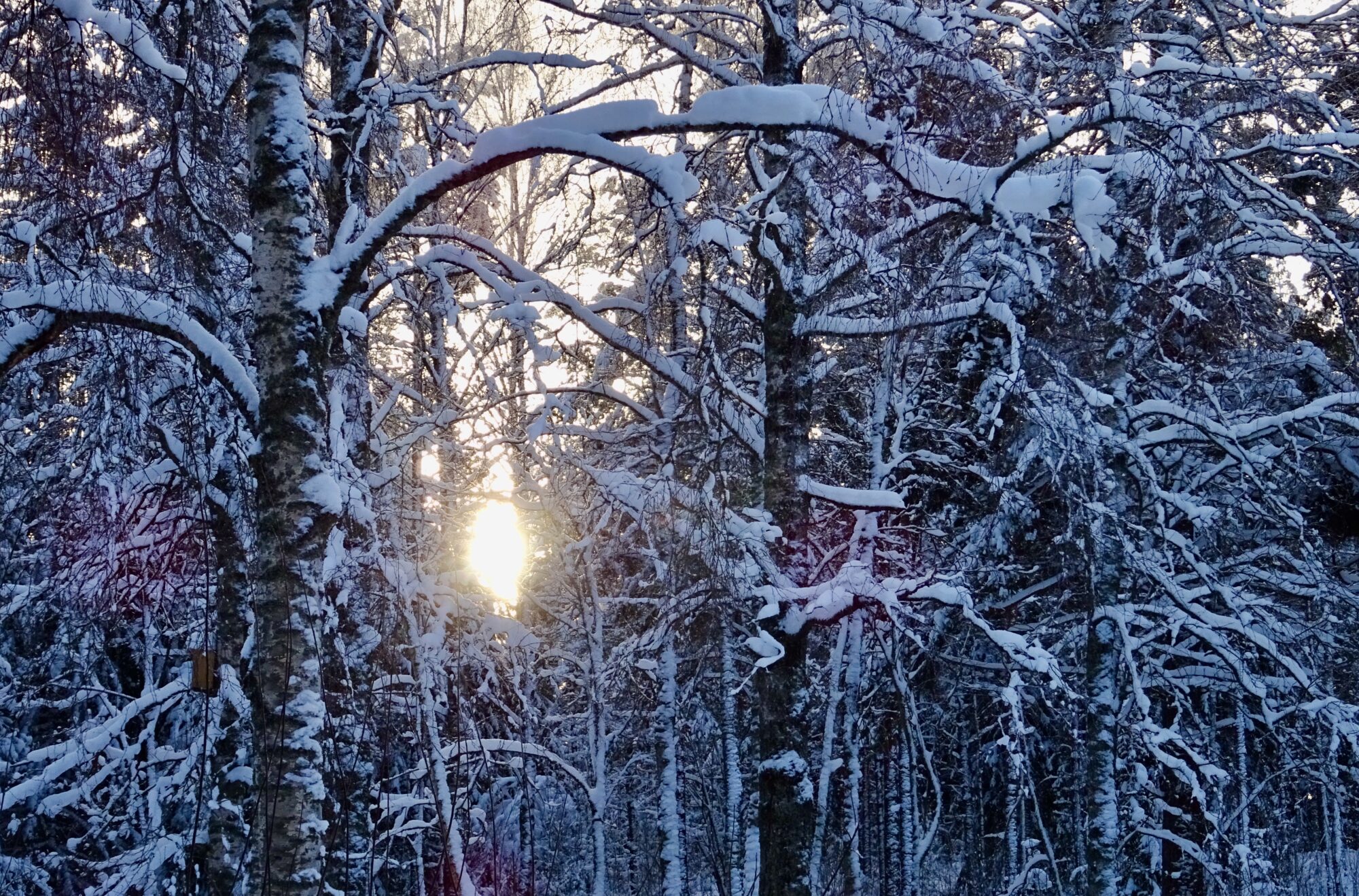 Valokuvaaja: Liisa Niiva-Korpela