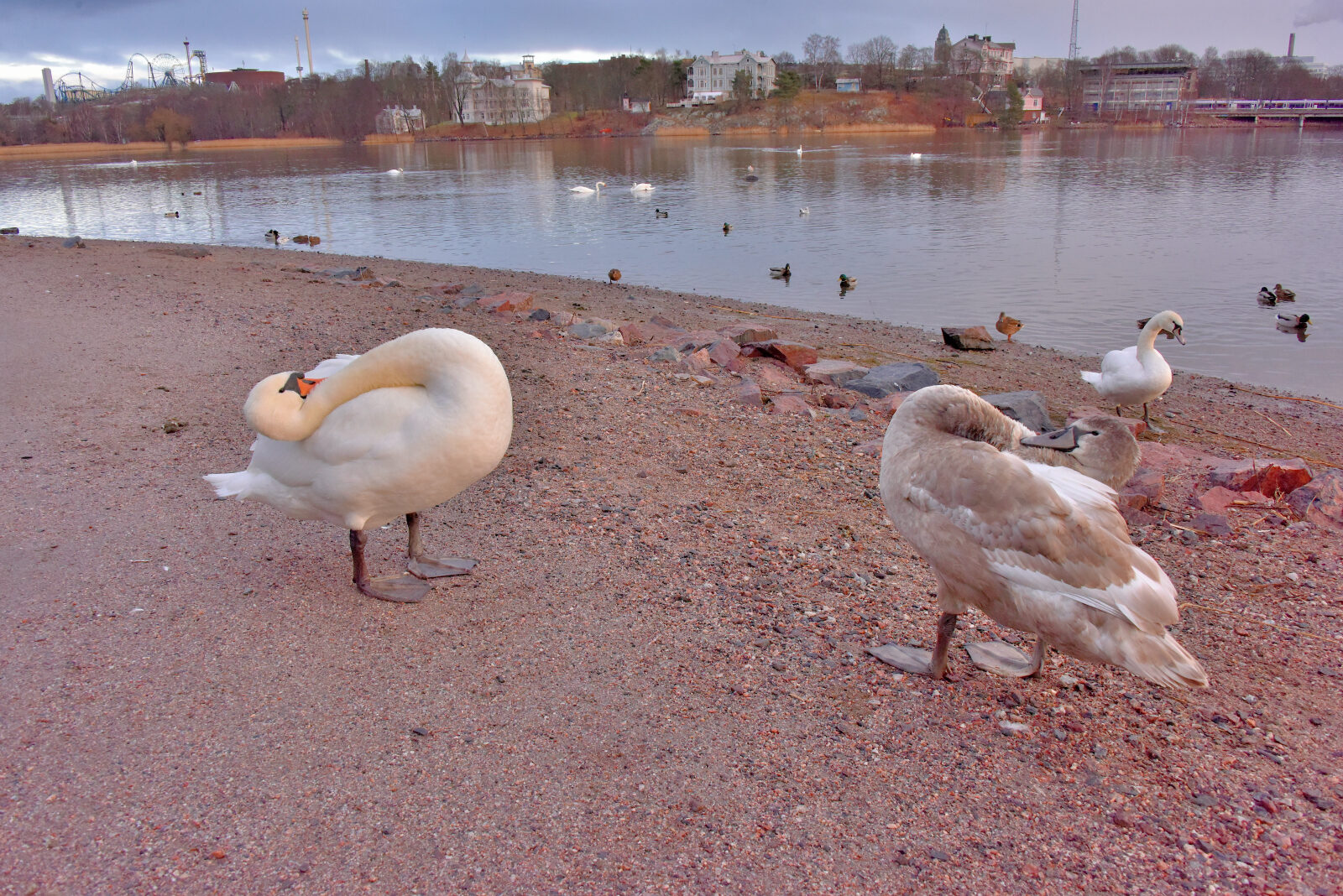 Valokuvaaja: Reijo Juurinen