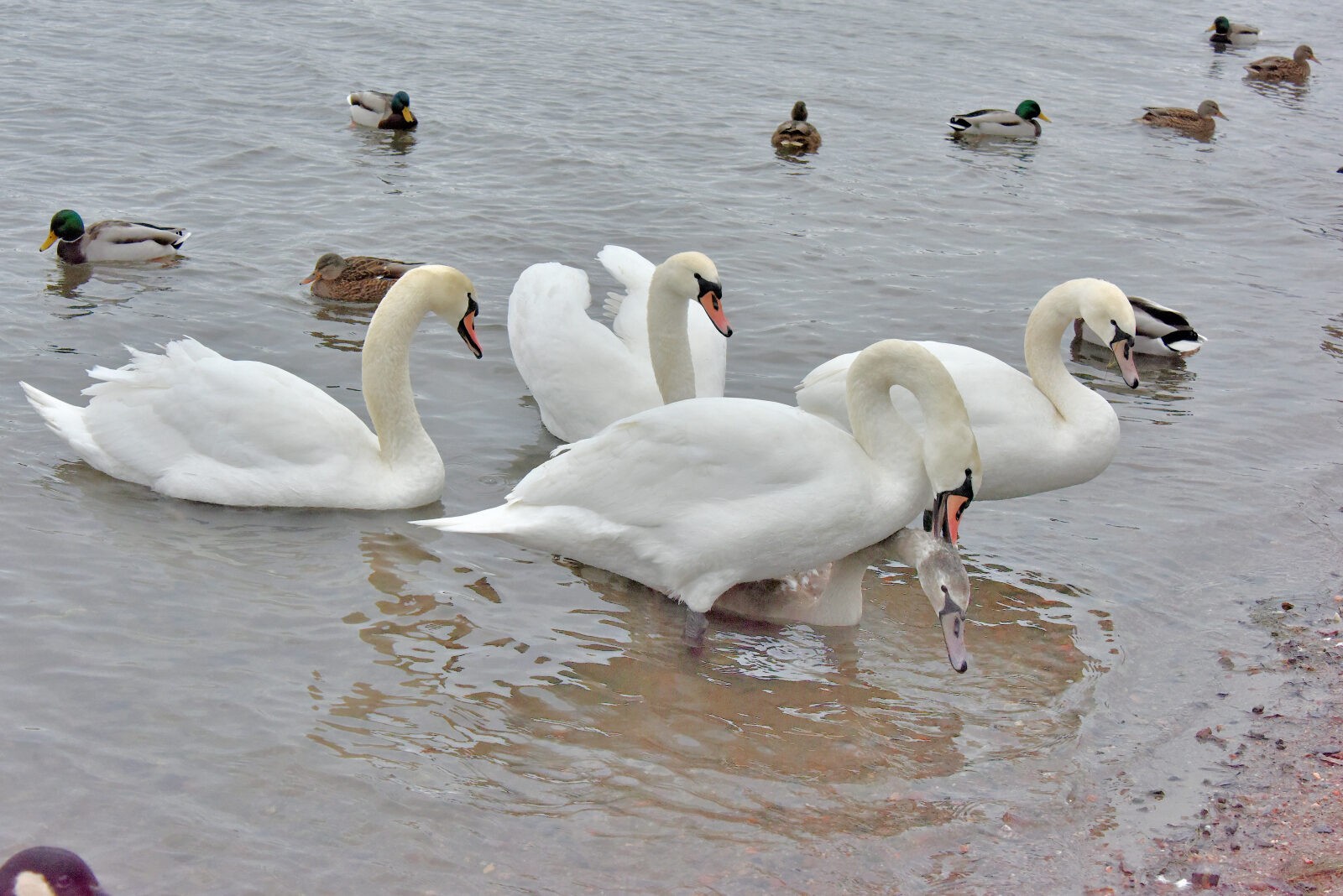 Valokuvaaja: Reijo Juurinen