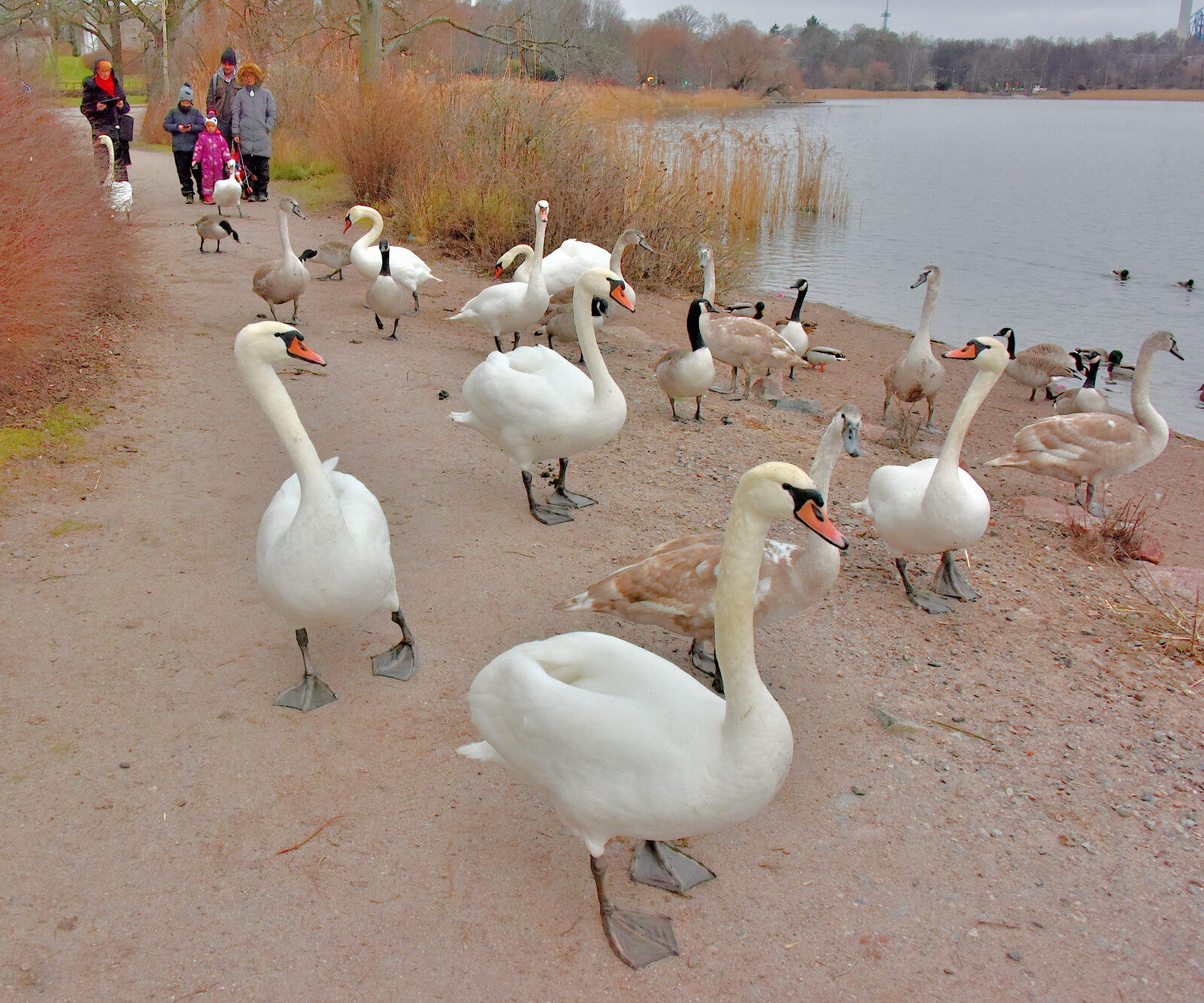 Valokuvaaja: Reijo Juurinen