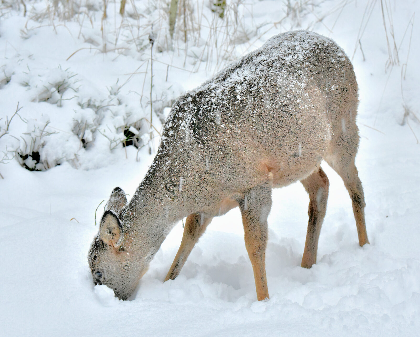 Valokuvaaja: Reijo Juurinen
