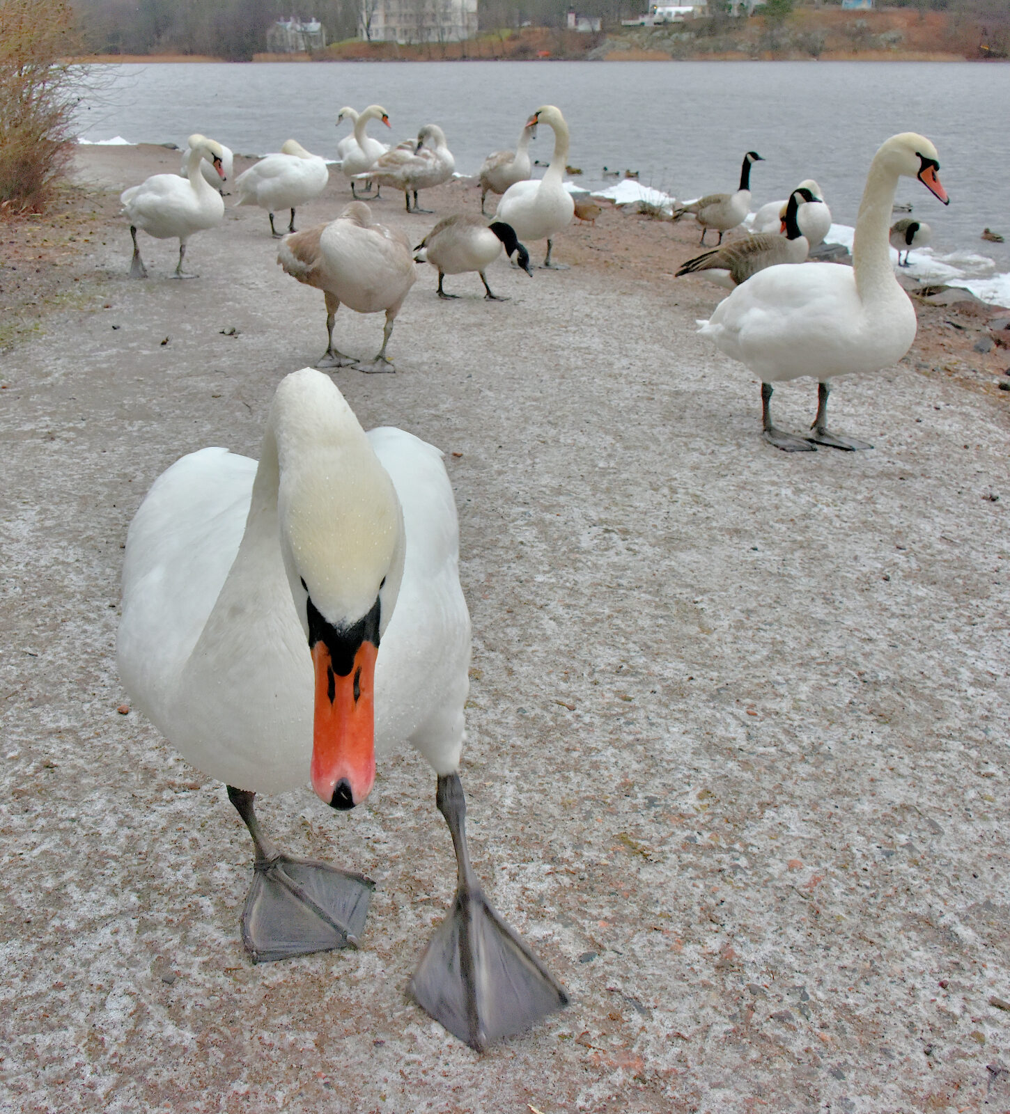 Valokuvaaja: Reijo Juurinen