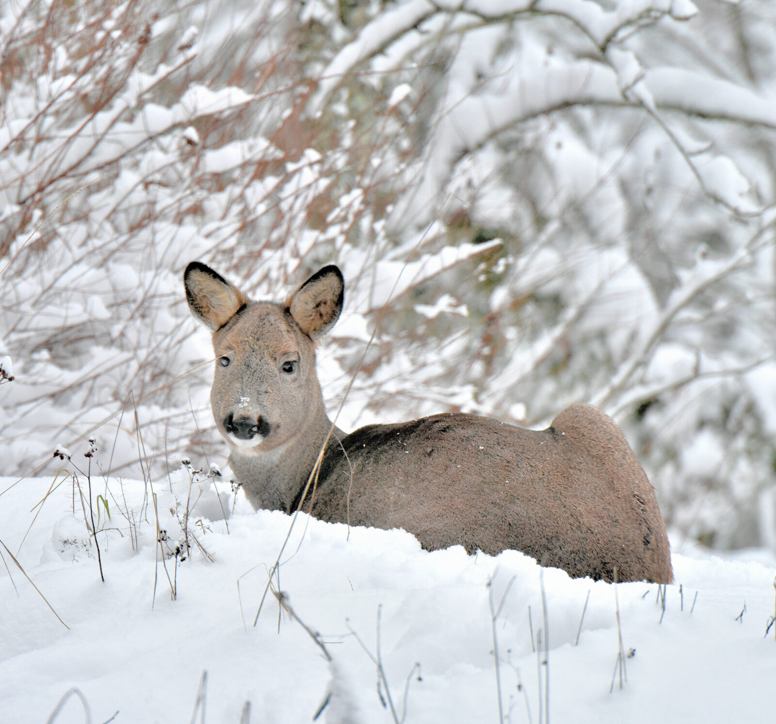 Valokuvaaja: Reijo Juurinen