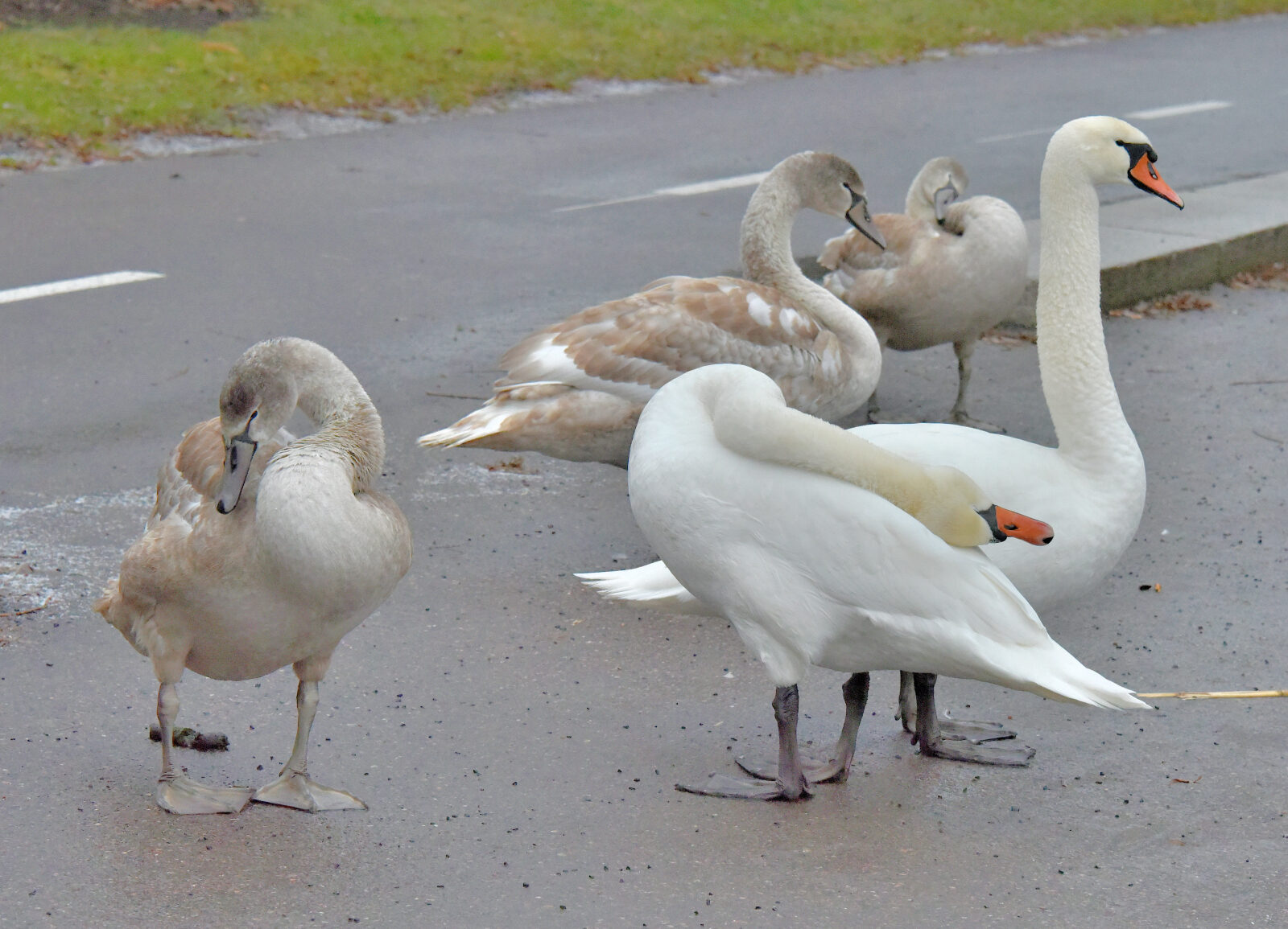 Valokuvaaja: Reijo Juurinen