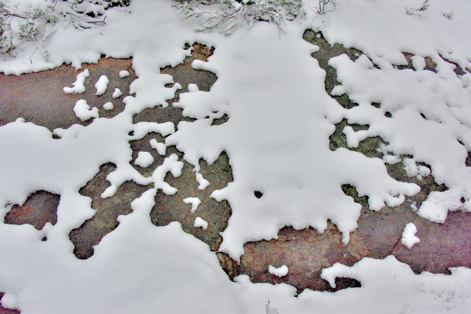 Valokuvaaja: Reijo Juurinen Valokuvaaja: Reijo Juurinen