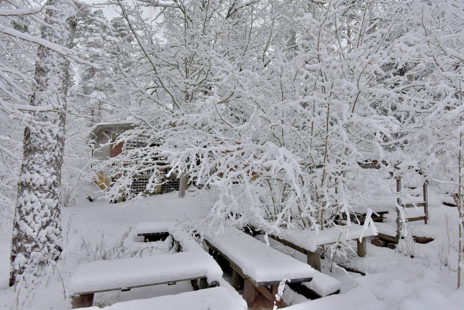 Valokuvaaja: Reijo Juurinen