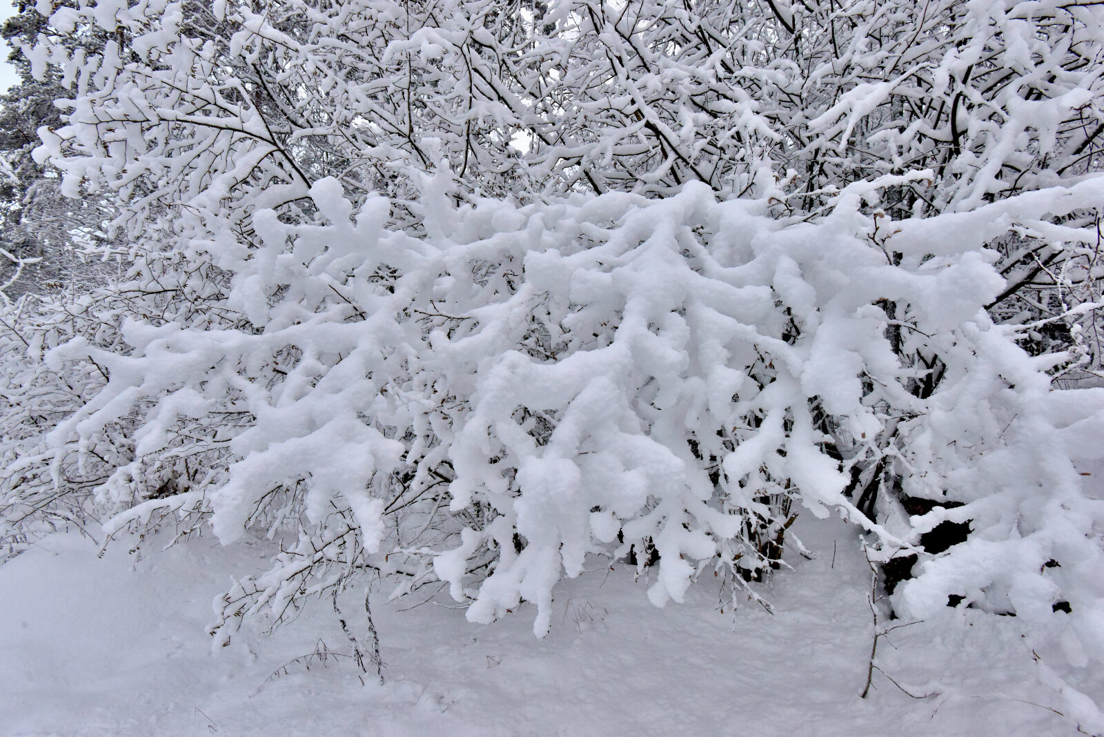 Valokuvaaja: Reijo Juurinen