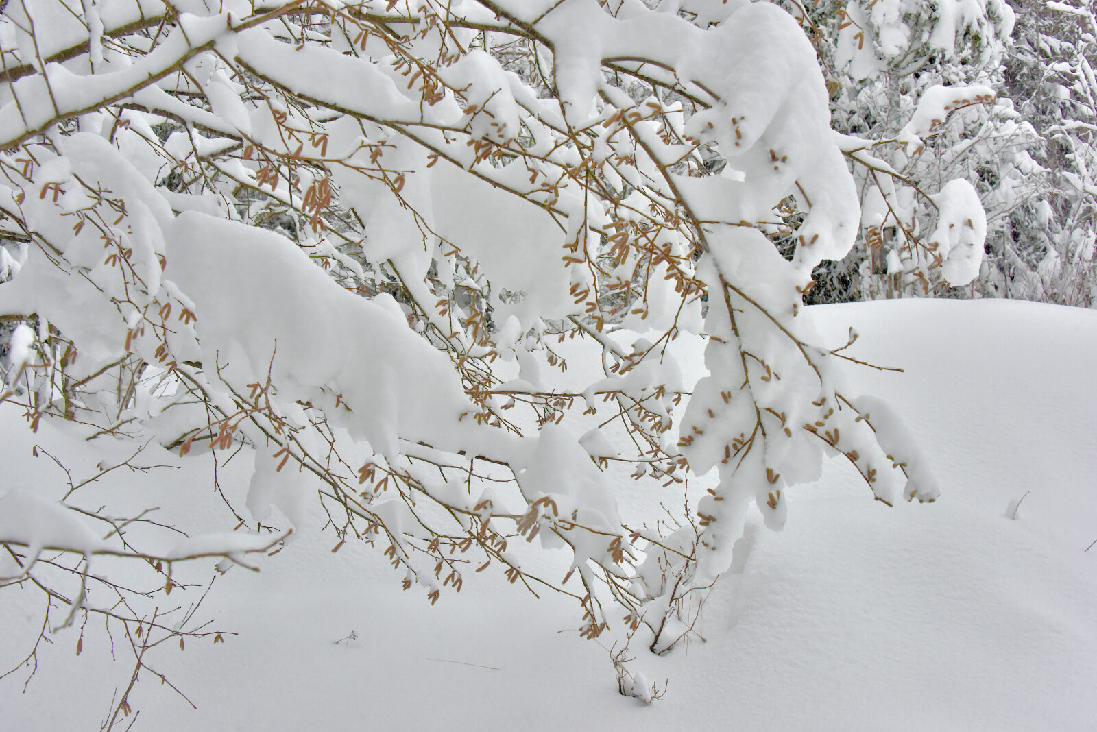 Valokuvaaja: Reijo Juurinen