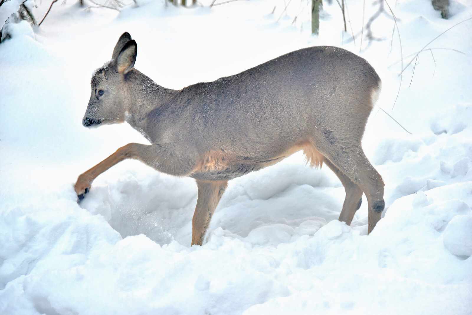 Valokuvaaja: Reijo Juurinen