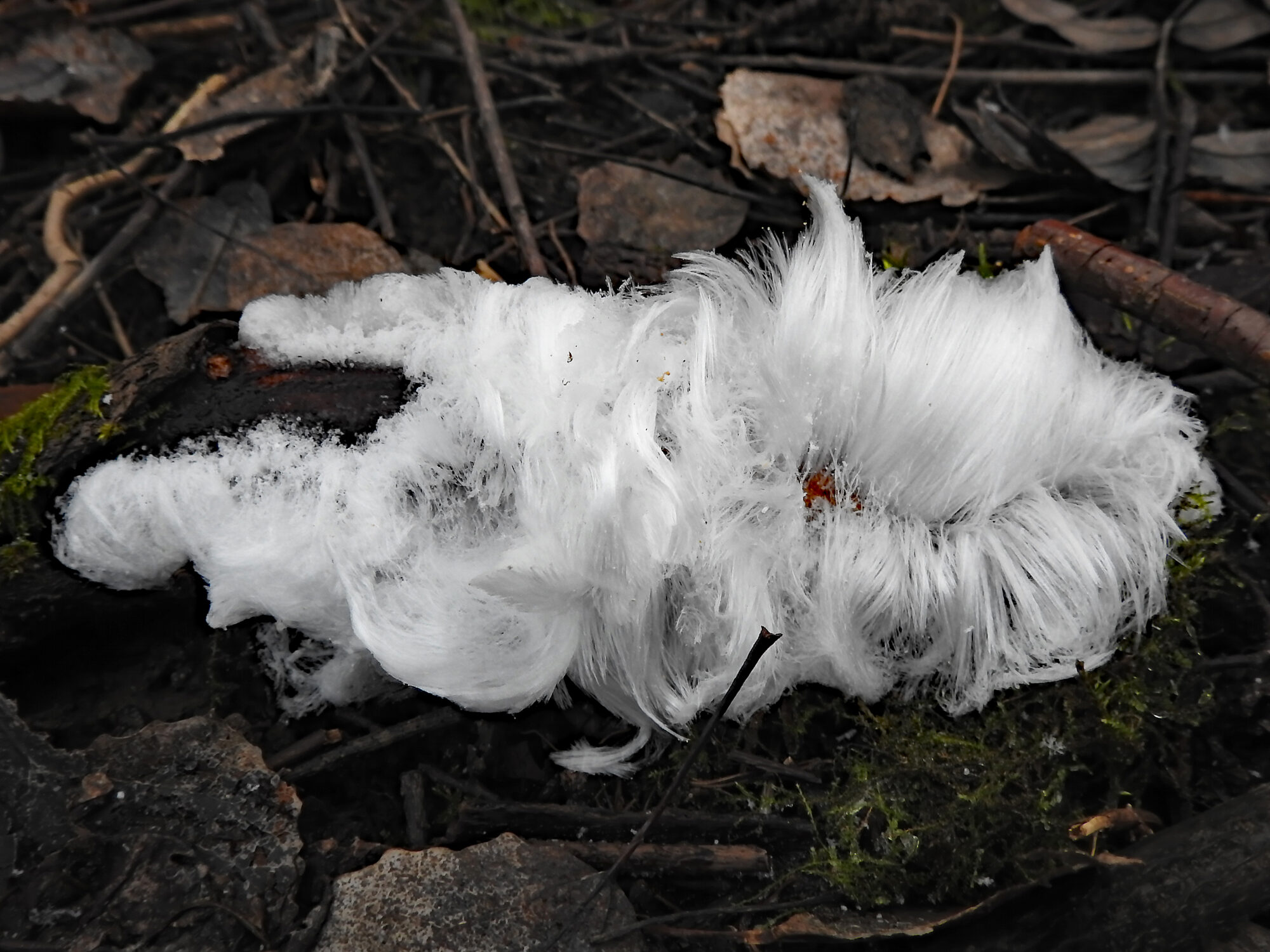 Valokuvaaja: Paavo Siukonen