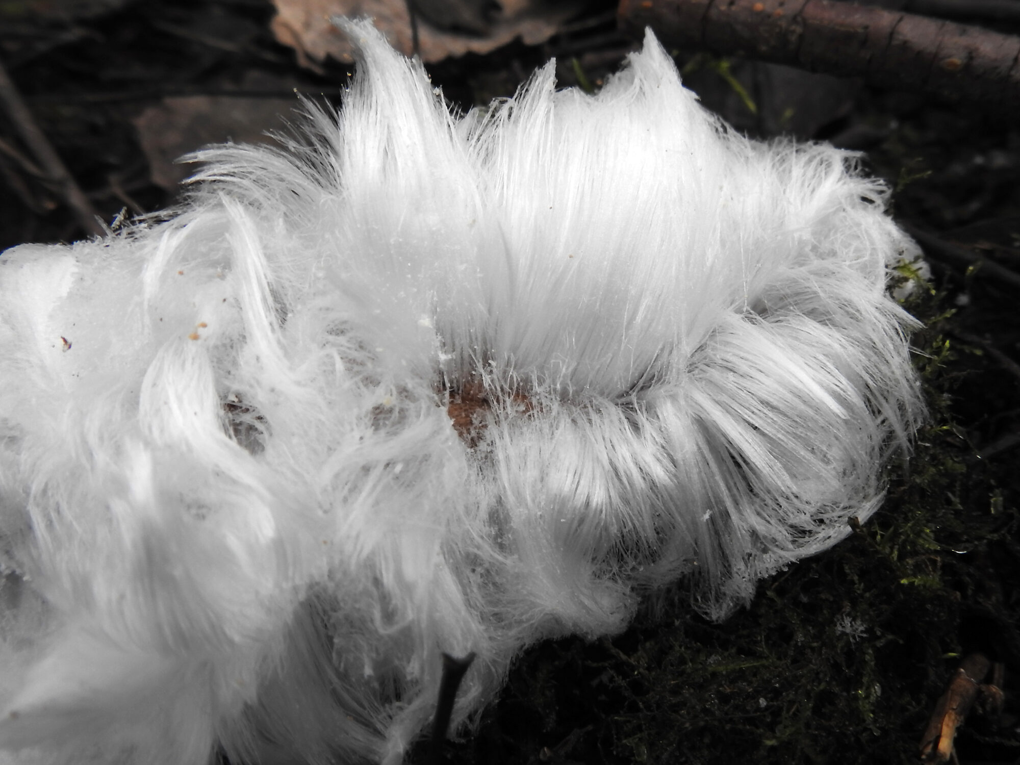 Valokuvaaja: Paavo Siukonen