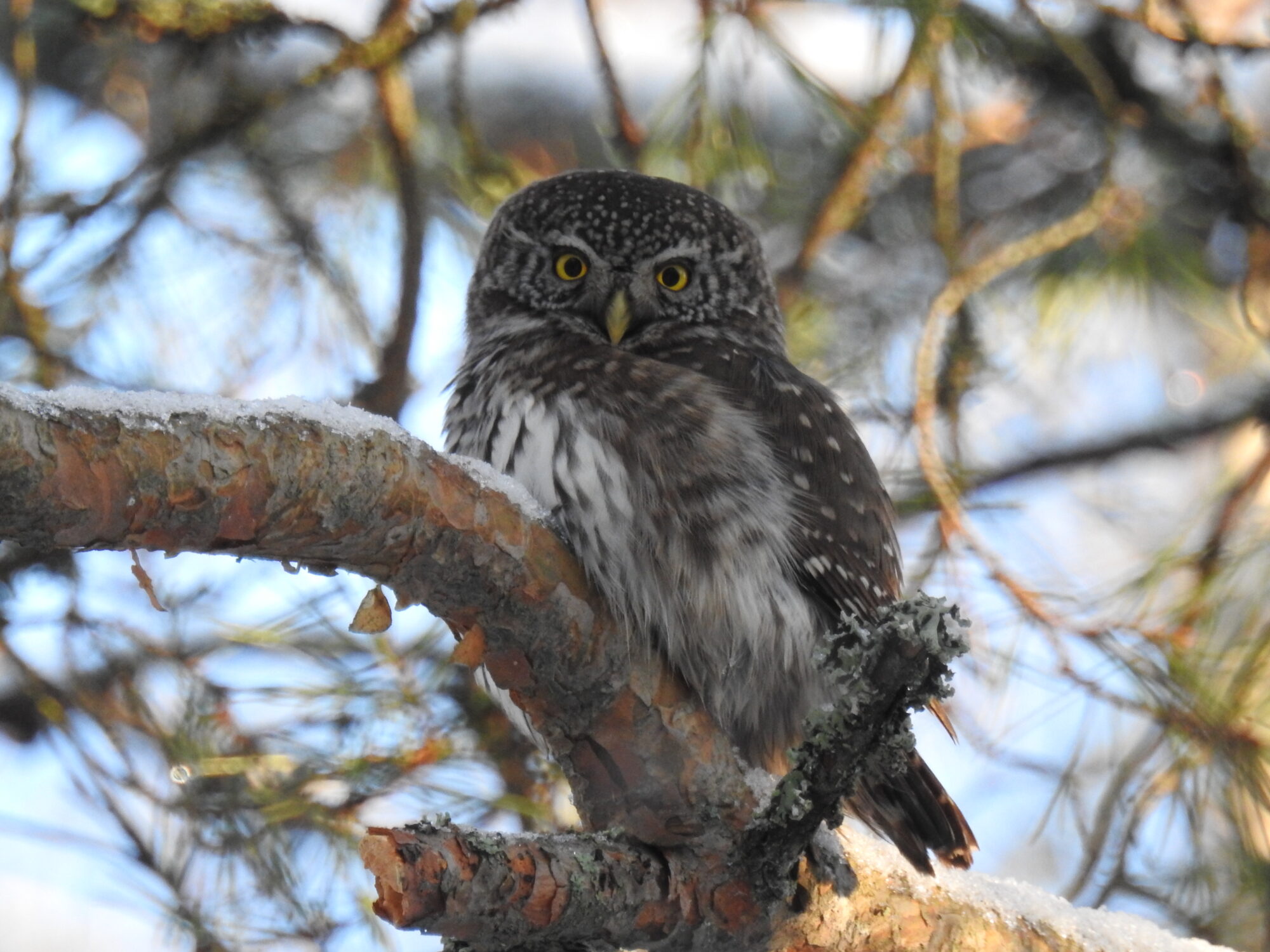 Valokuvaaja: Anni Hella
