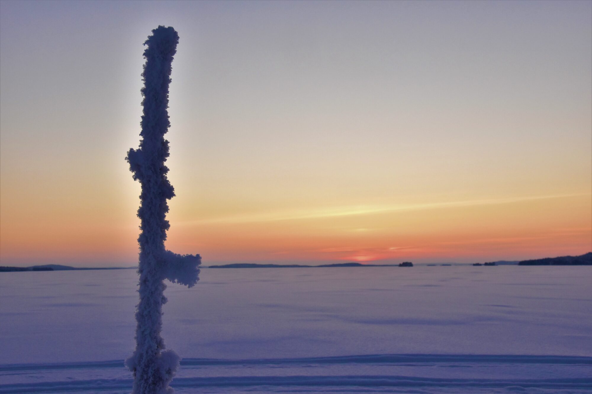 Valokuvaaja: Lahja Toivanen